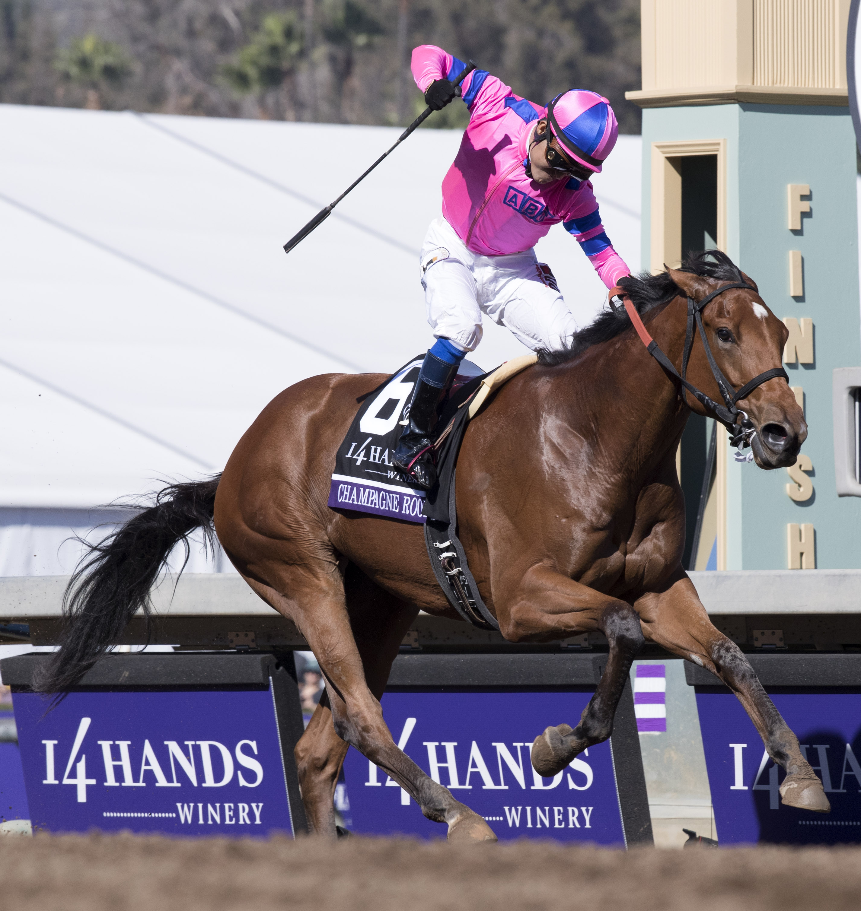 Champagne Room wins the Breeders Cup Juvenile Fillies