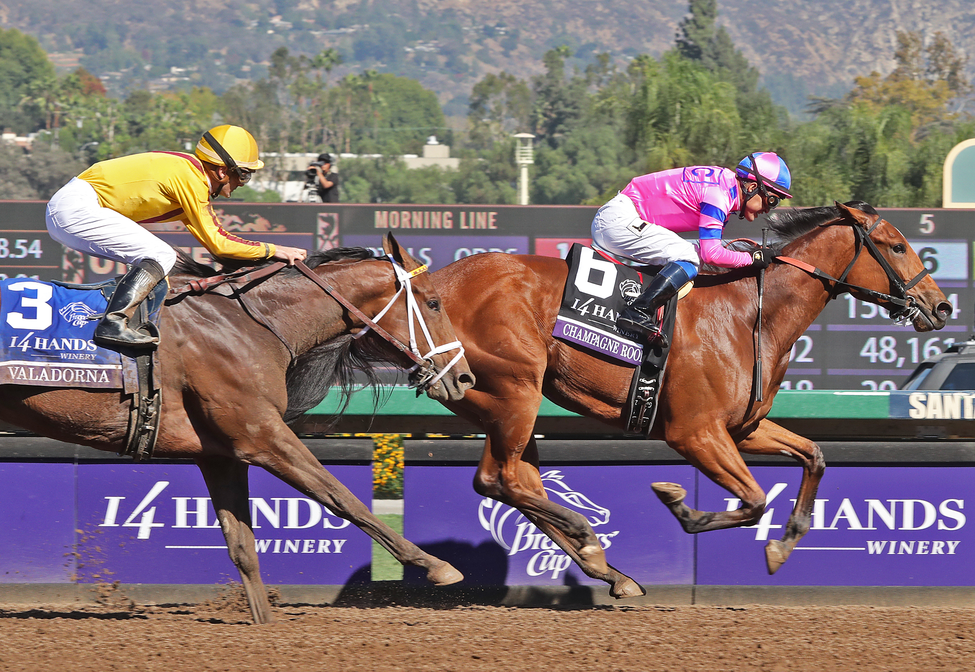 Valadorna finishes second in the Breeders' Cup Juvenile Fillies