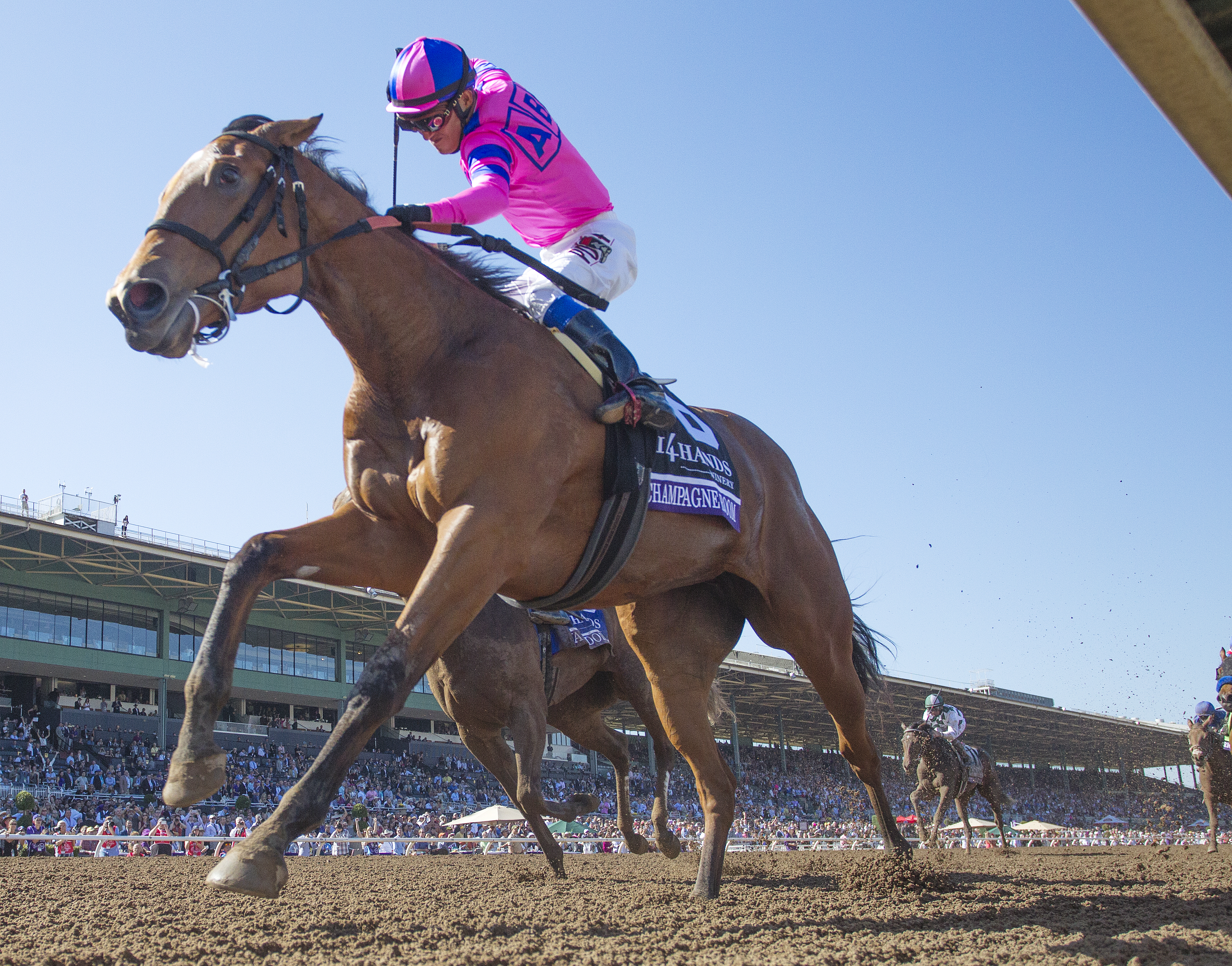 Champagne Room wins the Breeders Cup Juvenile Fillies