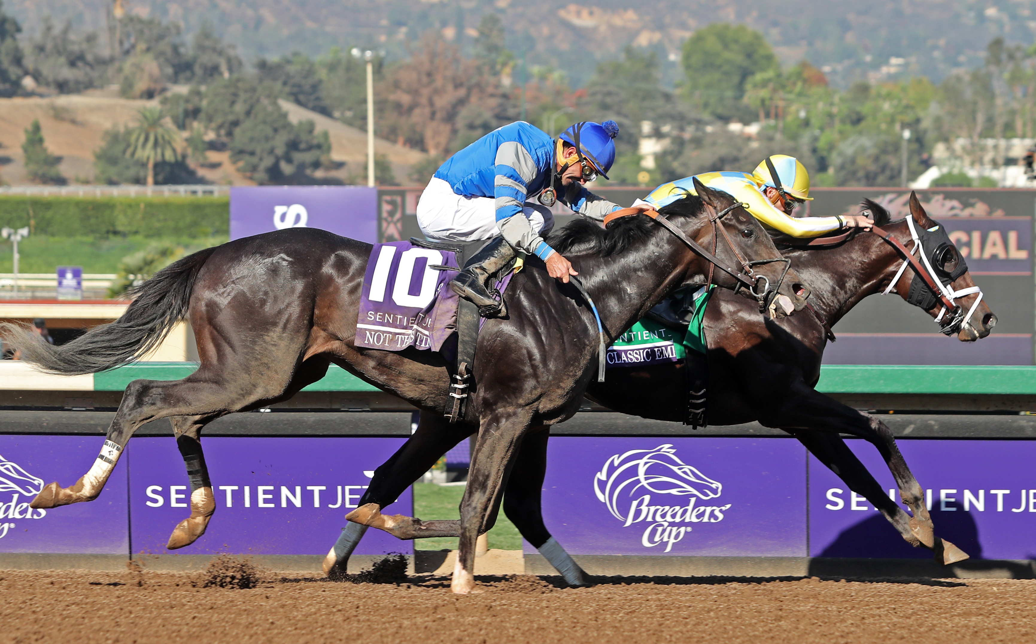 Classic Empire wins the Breeders' Cup Juvenile