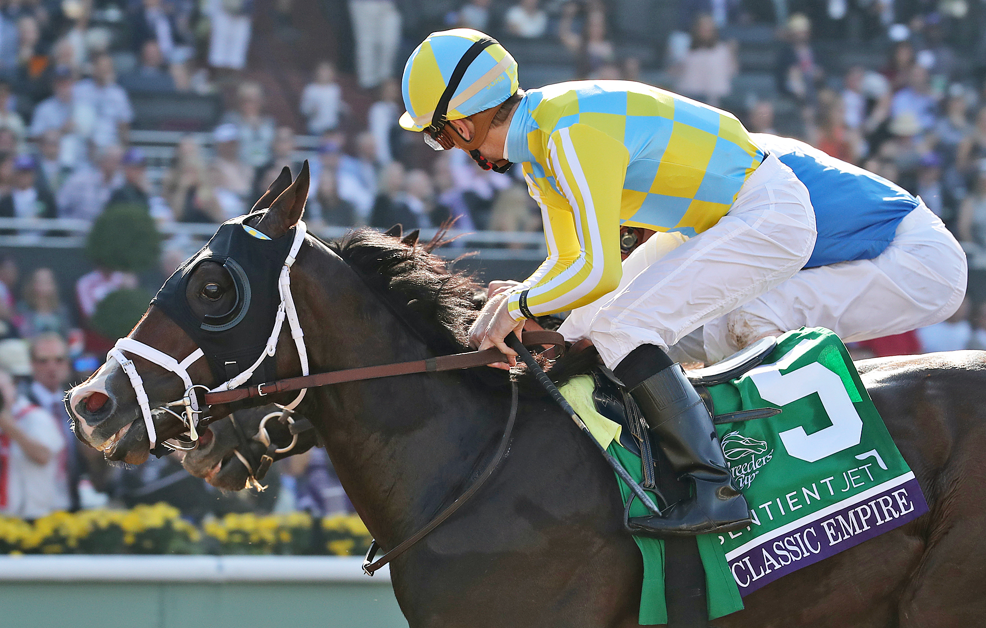 Classic Empire wins the Breeders' Cup Juvenile