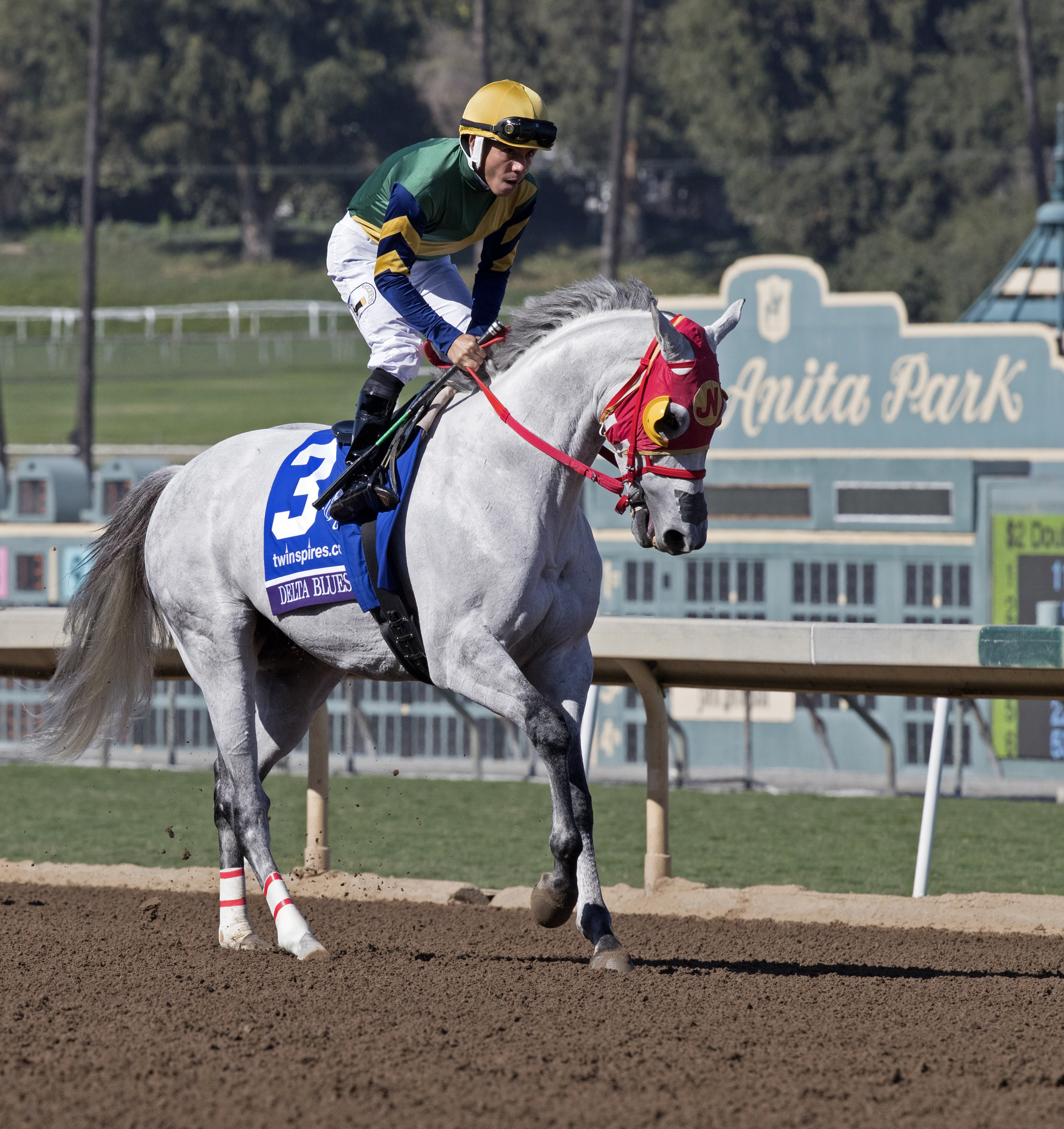 Delta Bluesman finishes sixth in the Breeders' Cup Sprint