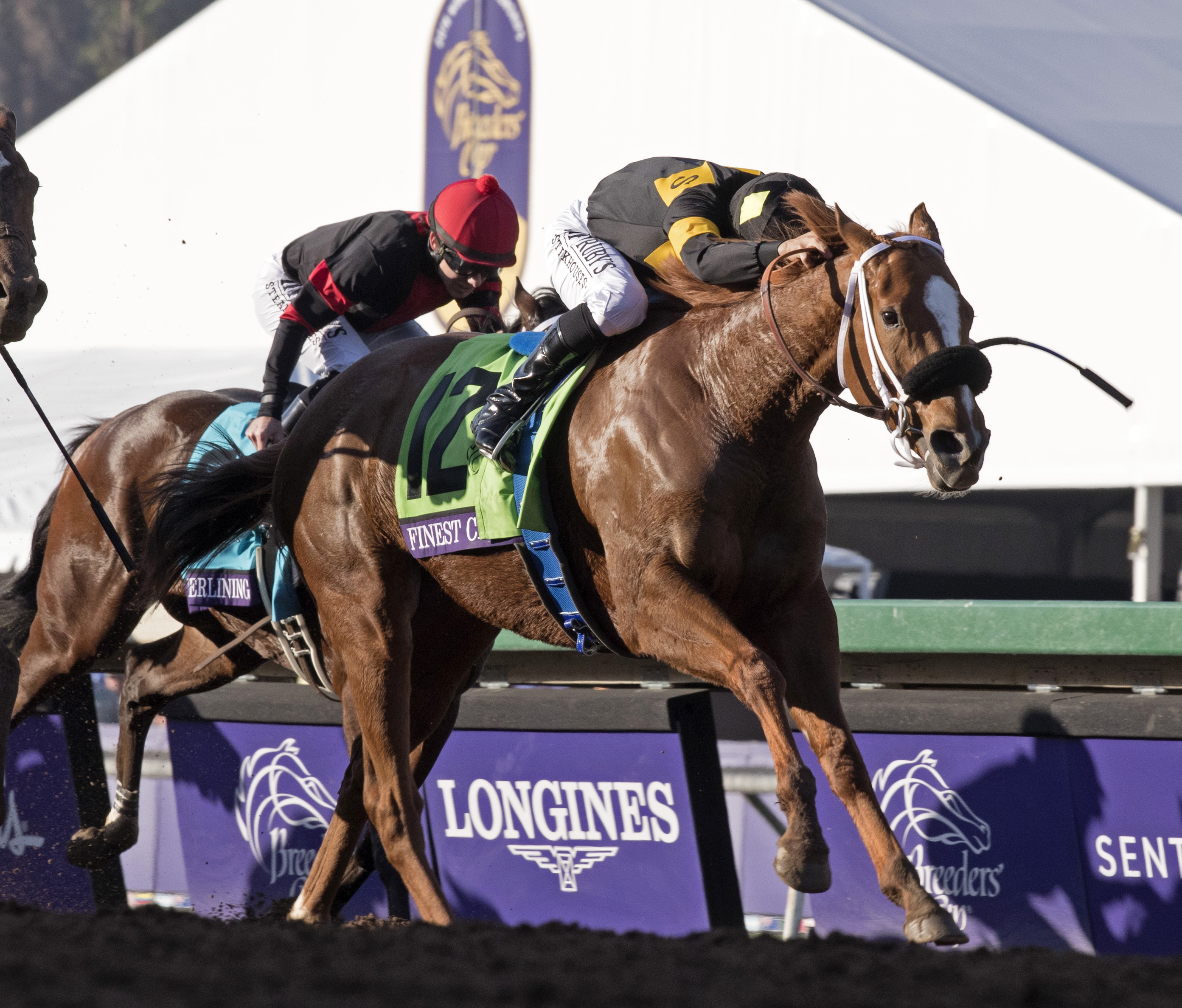 Finest City wins the Breeders' Cup Filly and Mare Sprint