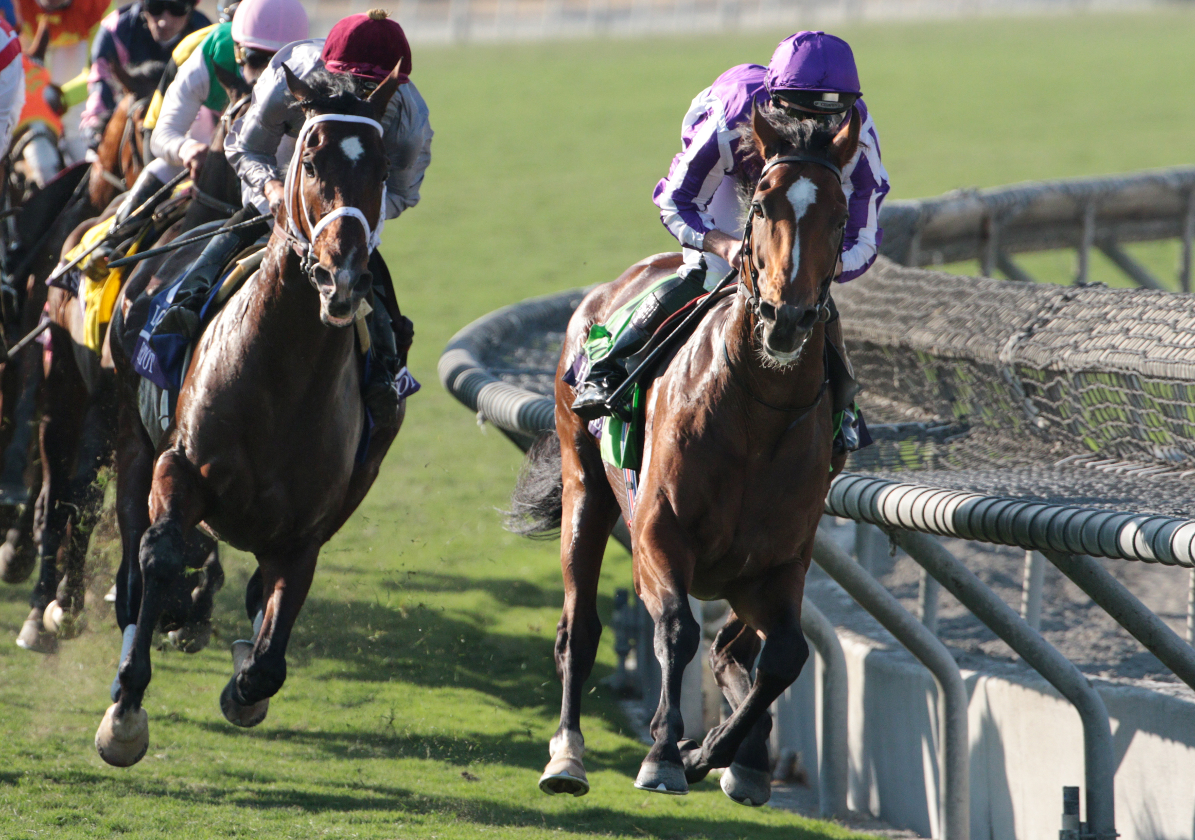Highland Reel wins the Breeders' Cup Turf