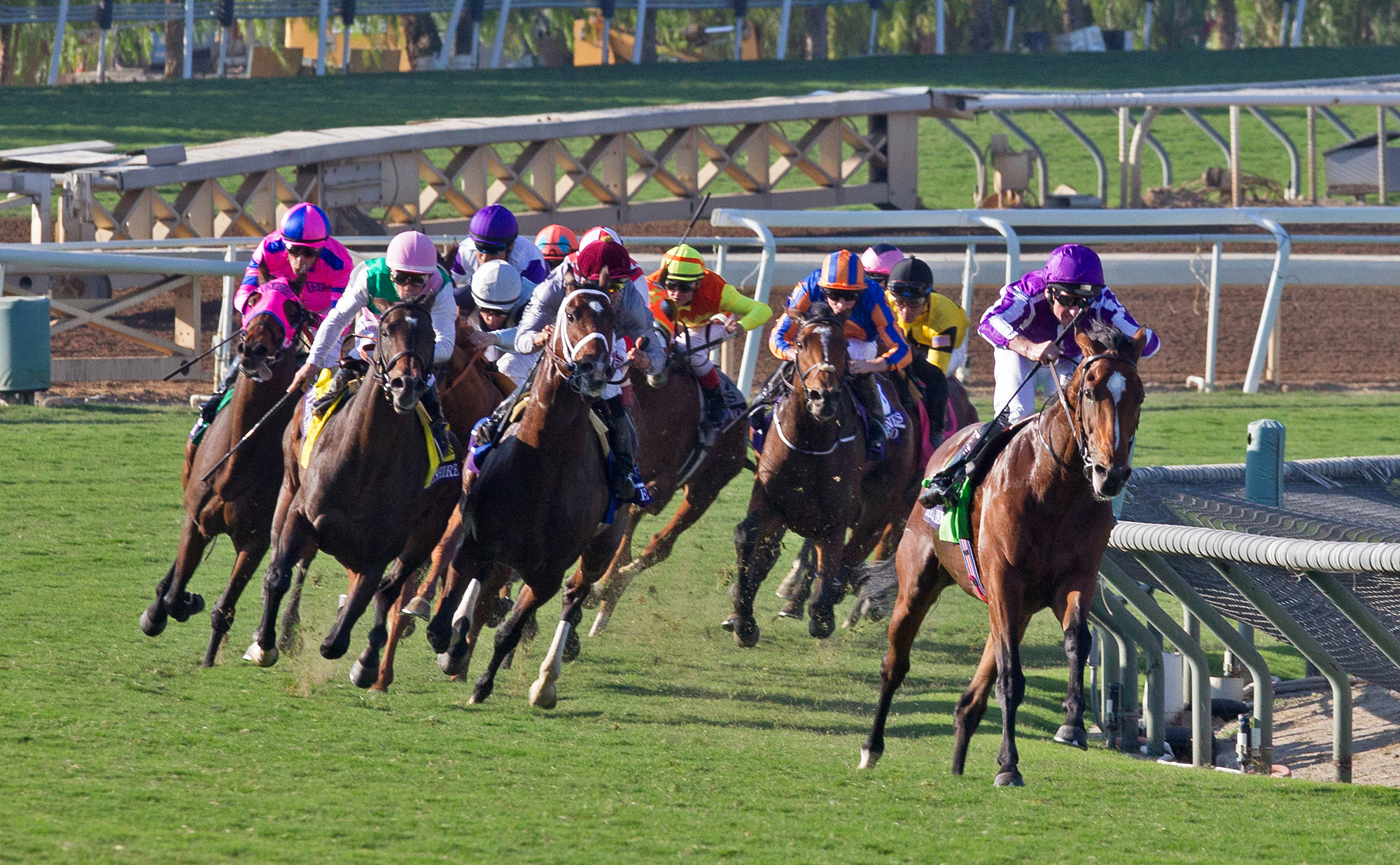 Santa Anita turf racing