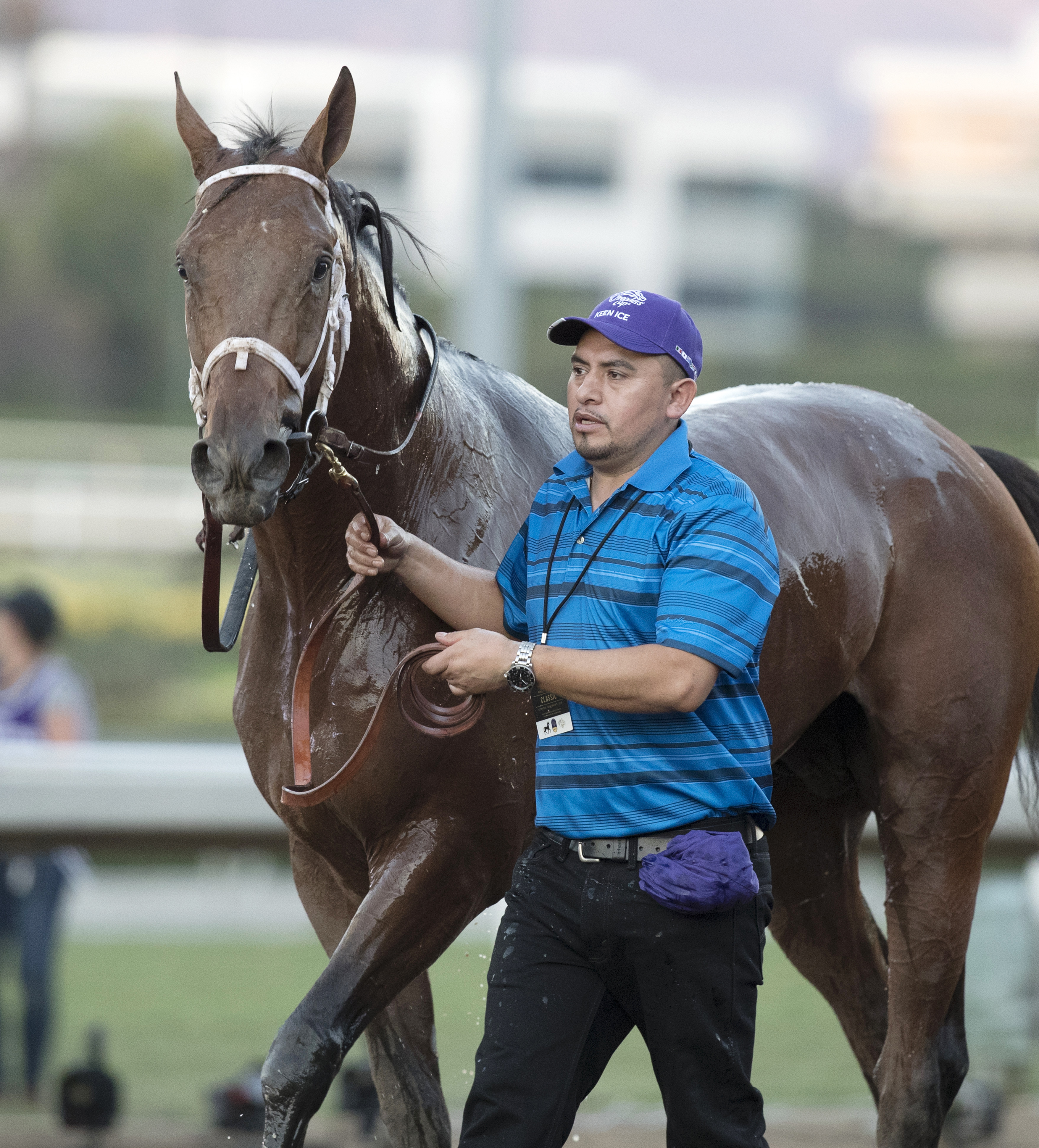Keen Ice at the Breeders' Cup