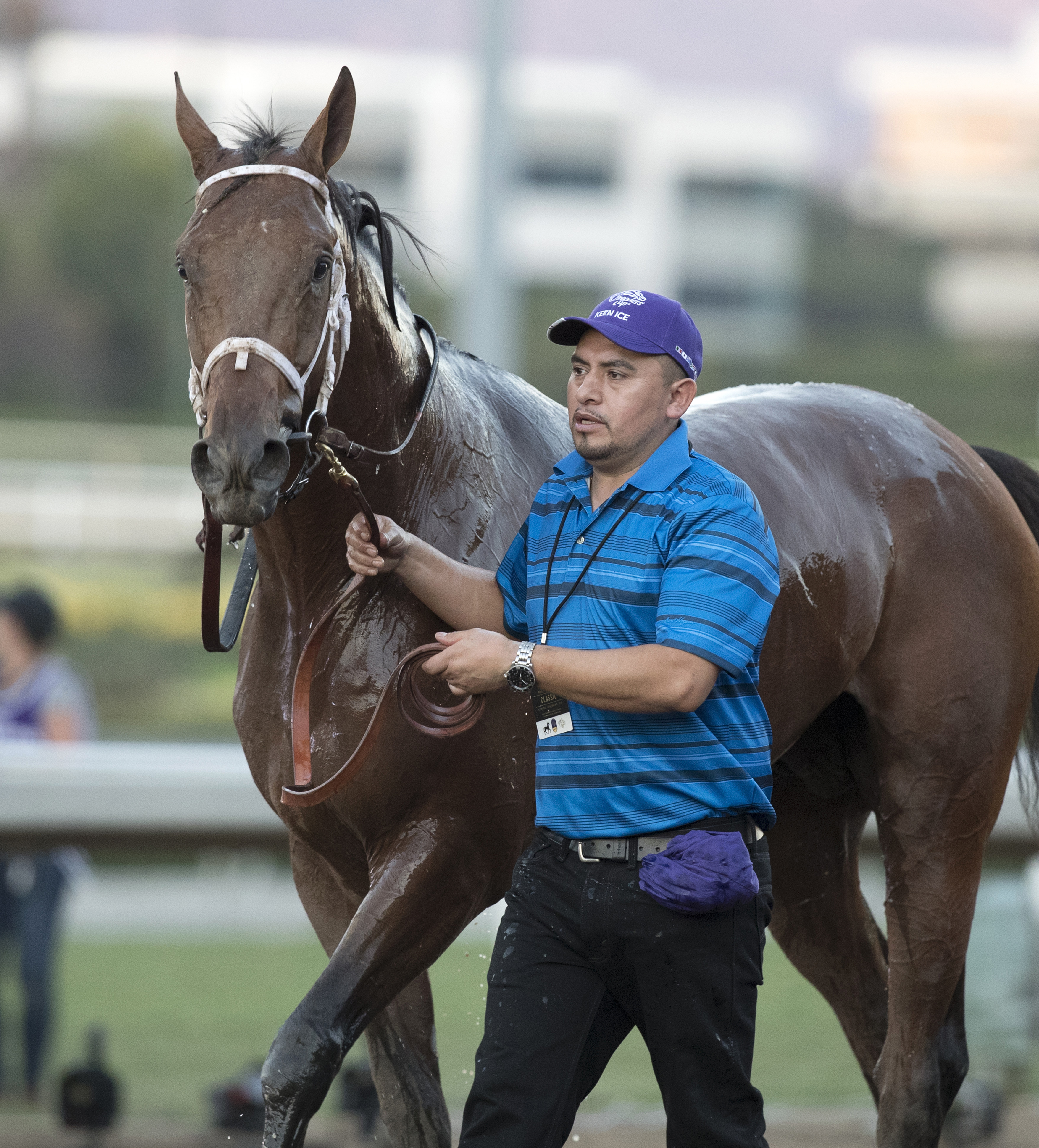 Keen Ice at the Breeders' Cup