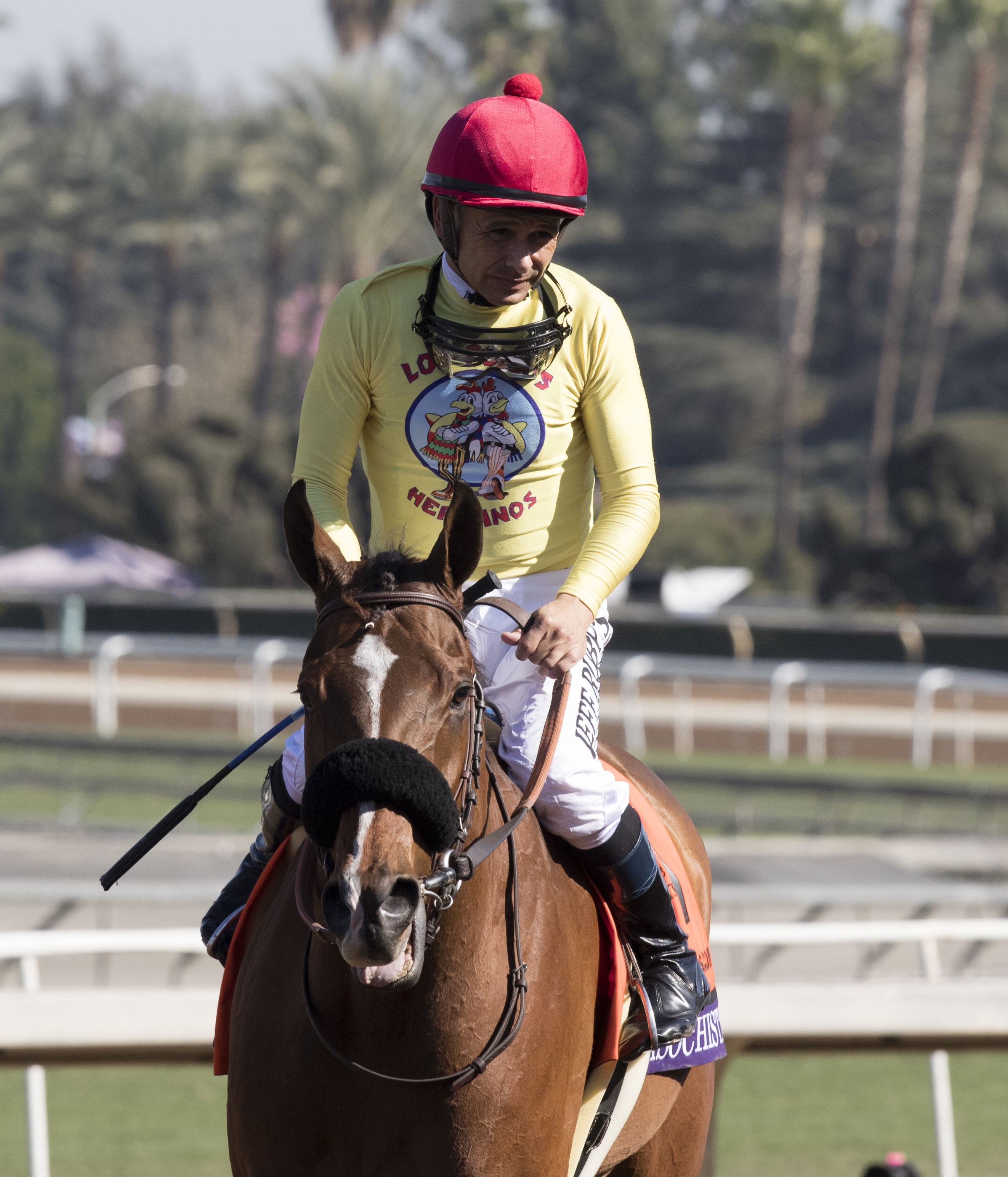 Masochistic after the Breeders' Cup Sprint