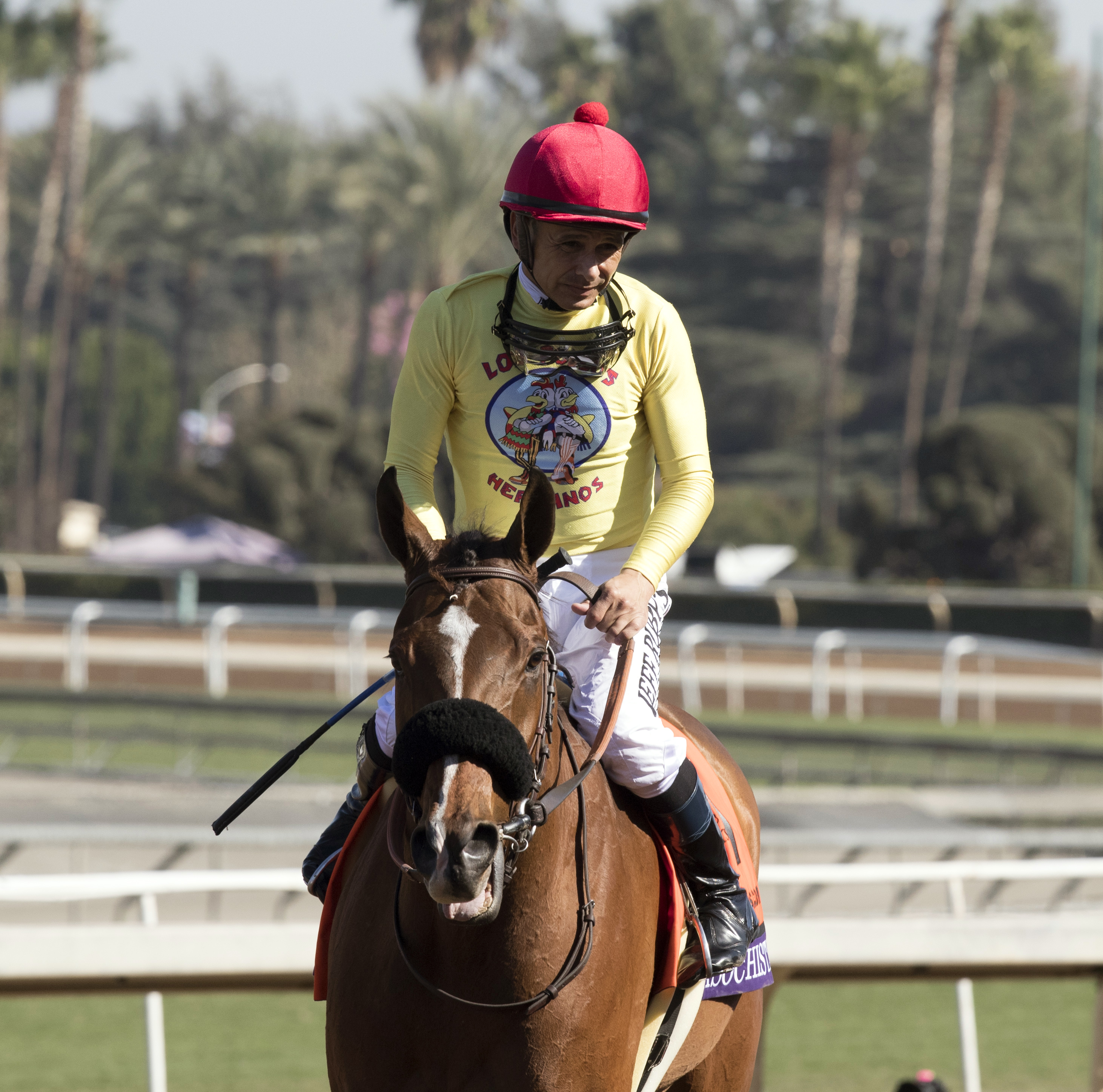 Masochistic after the Breeders' Cup Sprint