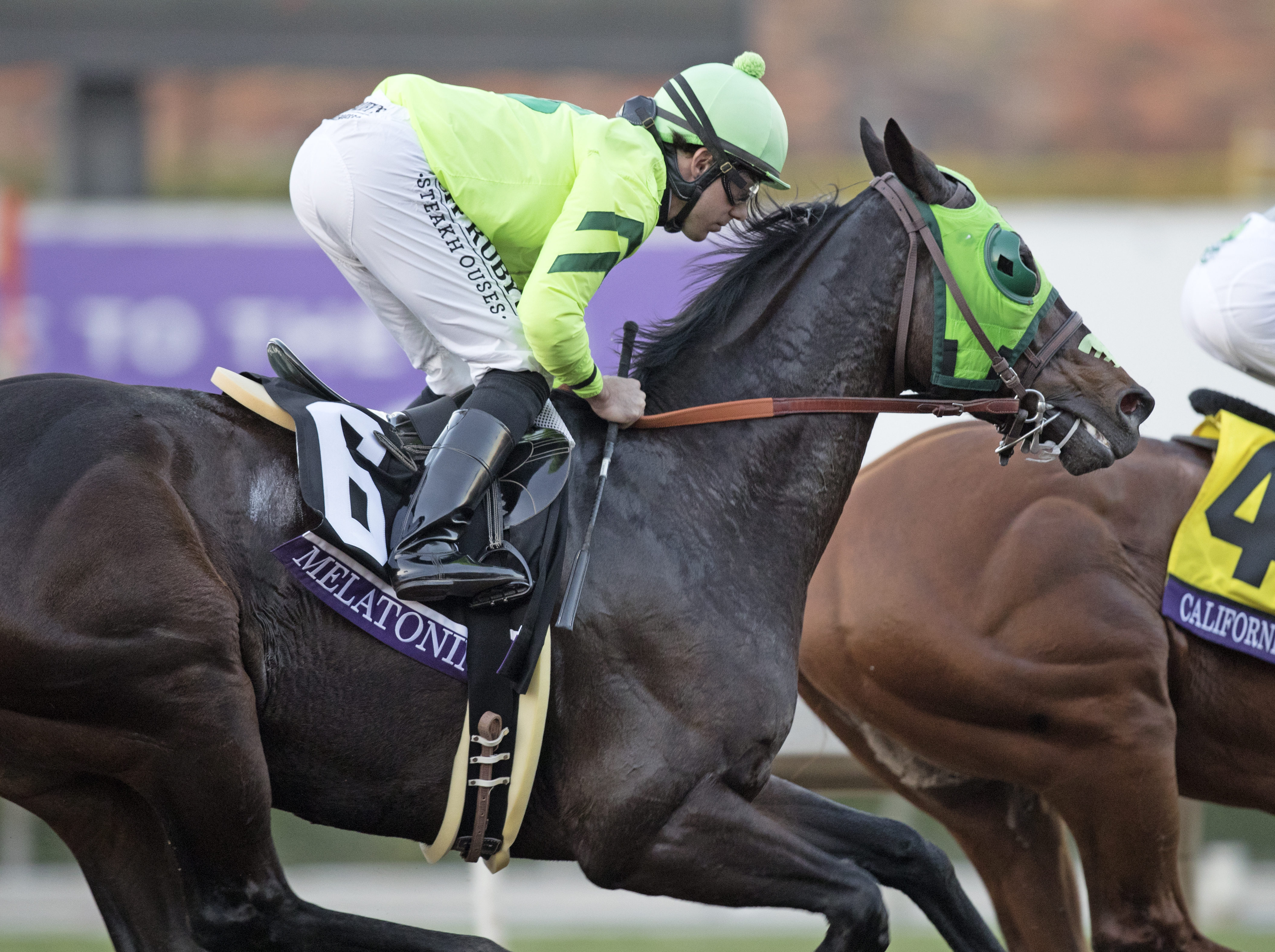 Melatonin finishes fifth in the Breeders' Cup Classic