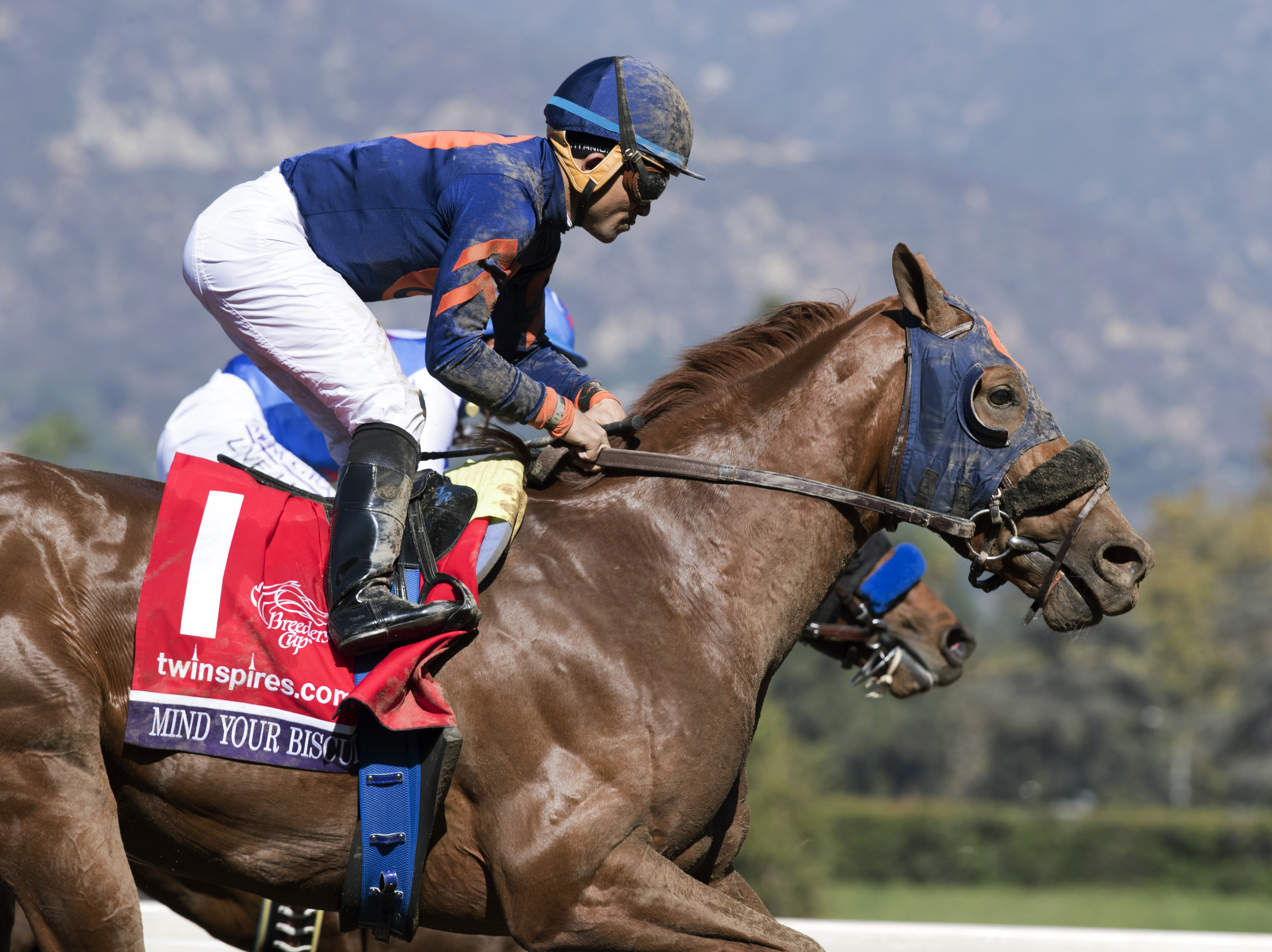 Mind Your Biscuits finishes third in the Breeders' Cup Sprint