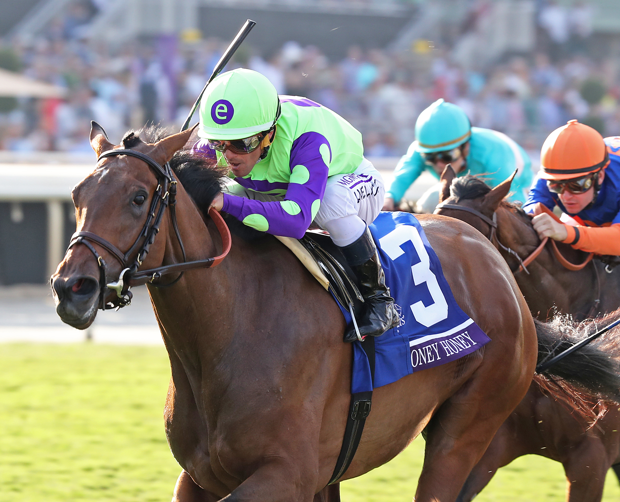 New Money Honey wins the Breeders' Cup Juvenile Fillies Turf