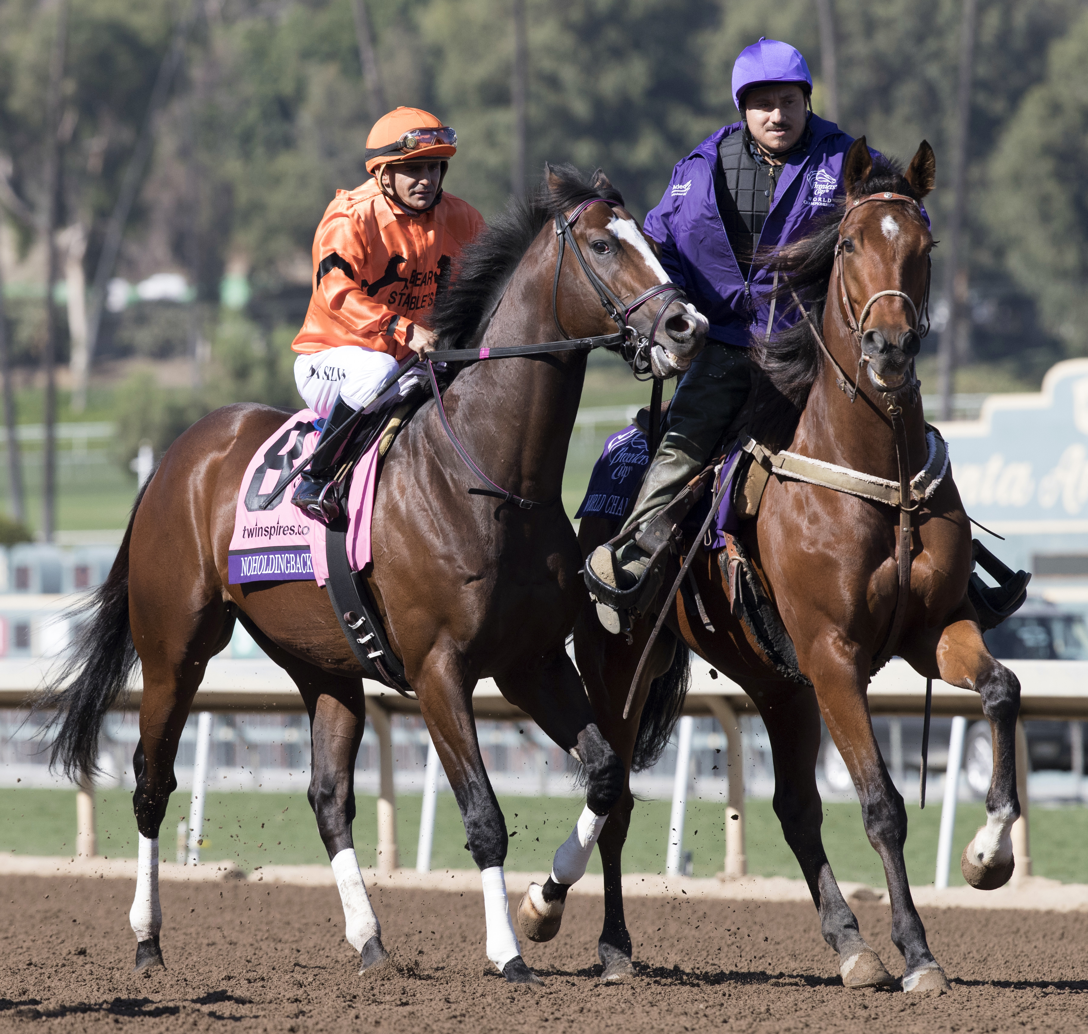 Noholdingback Bear at the Breeders' Cup Sprint
