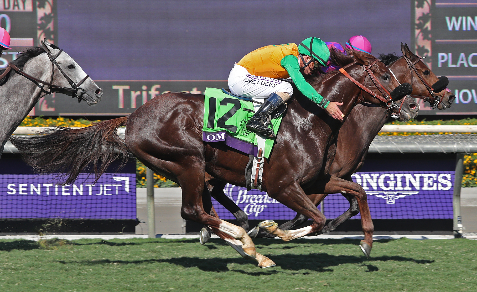 Om finishes second in the Breeders' Cup Turf Sprint
