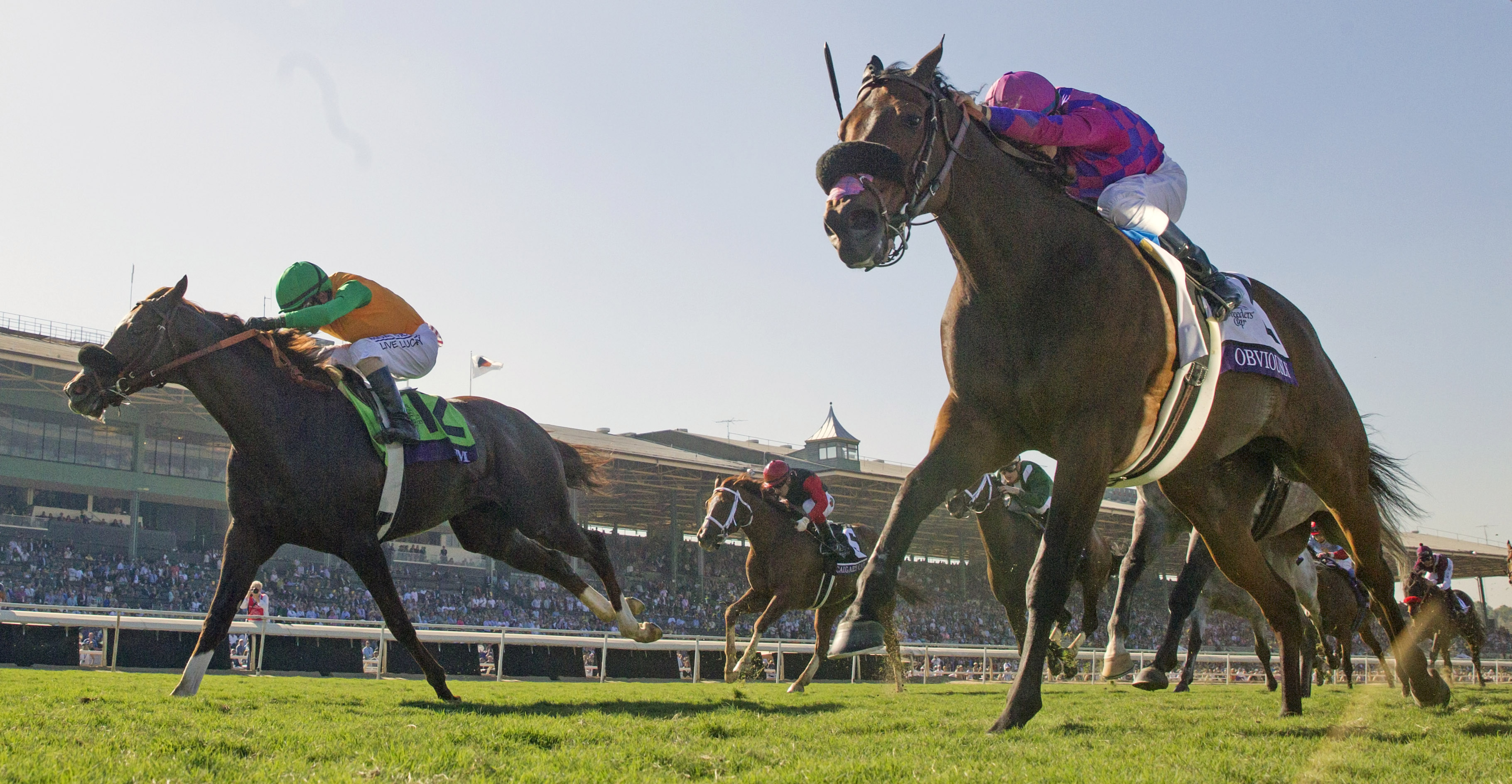 Obviously wins the Breeders' Cup Turf Sprint