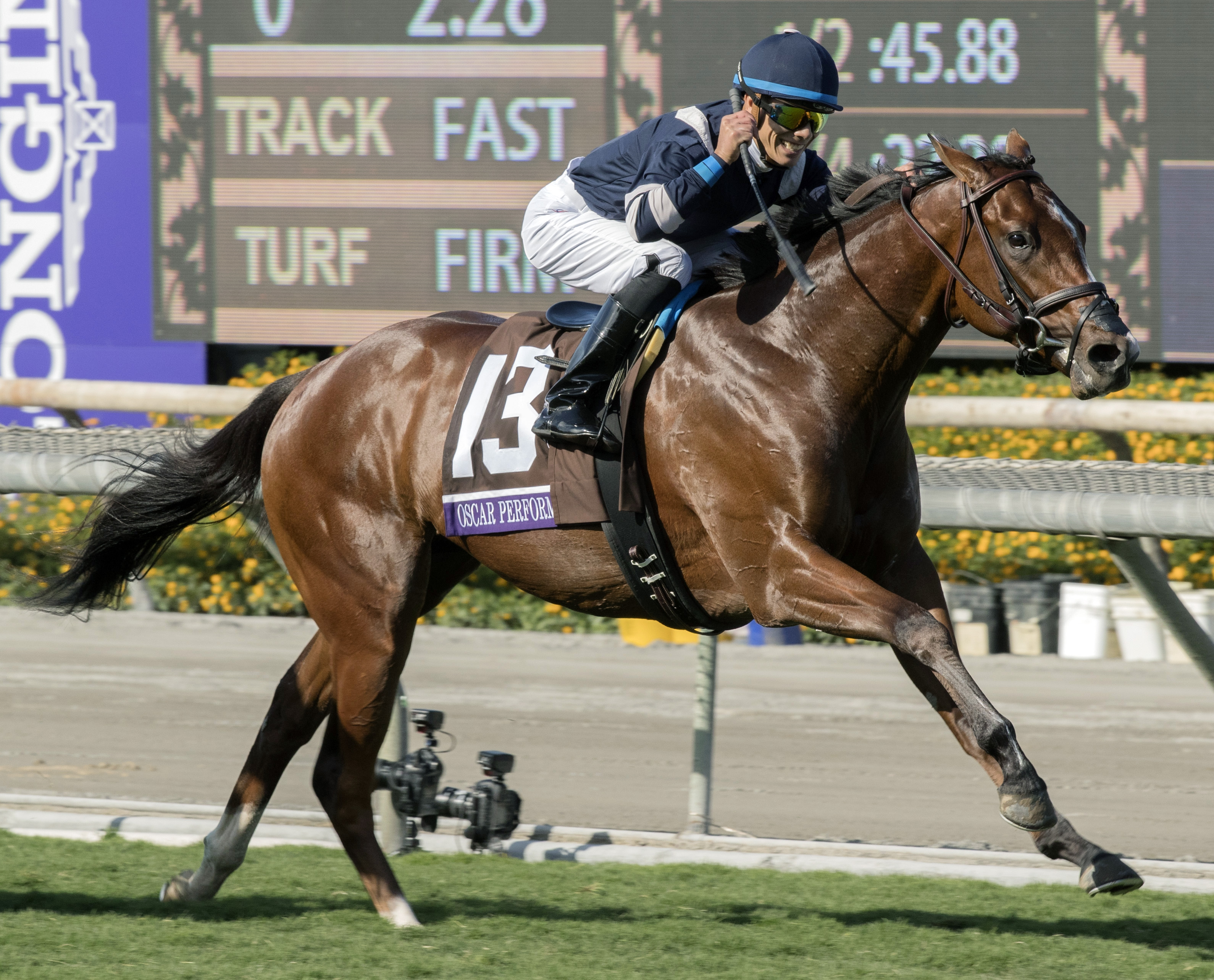 Oscar Performance wins the Breeders' Cup Juvenile Turf