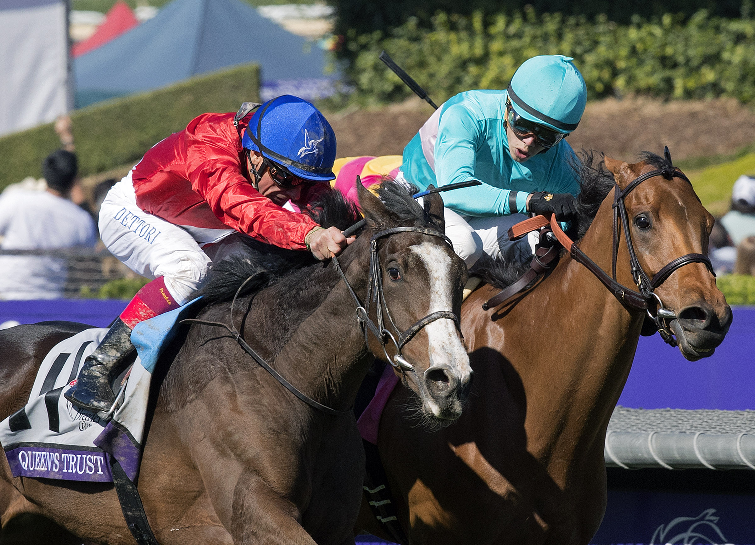 Queen's Trust wins the Breeders' Cup Filly and Mare Turf