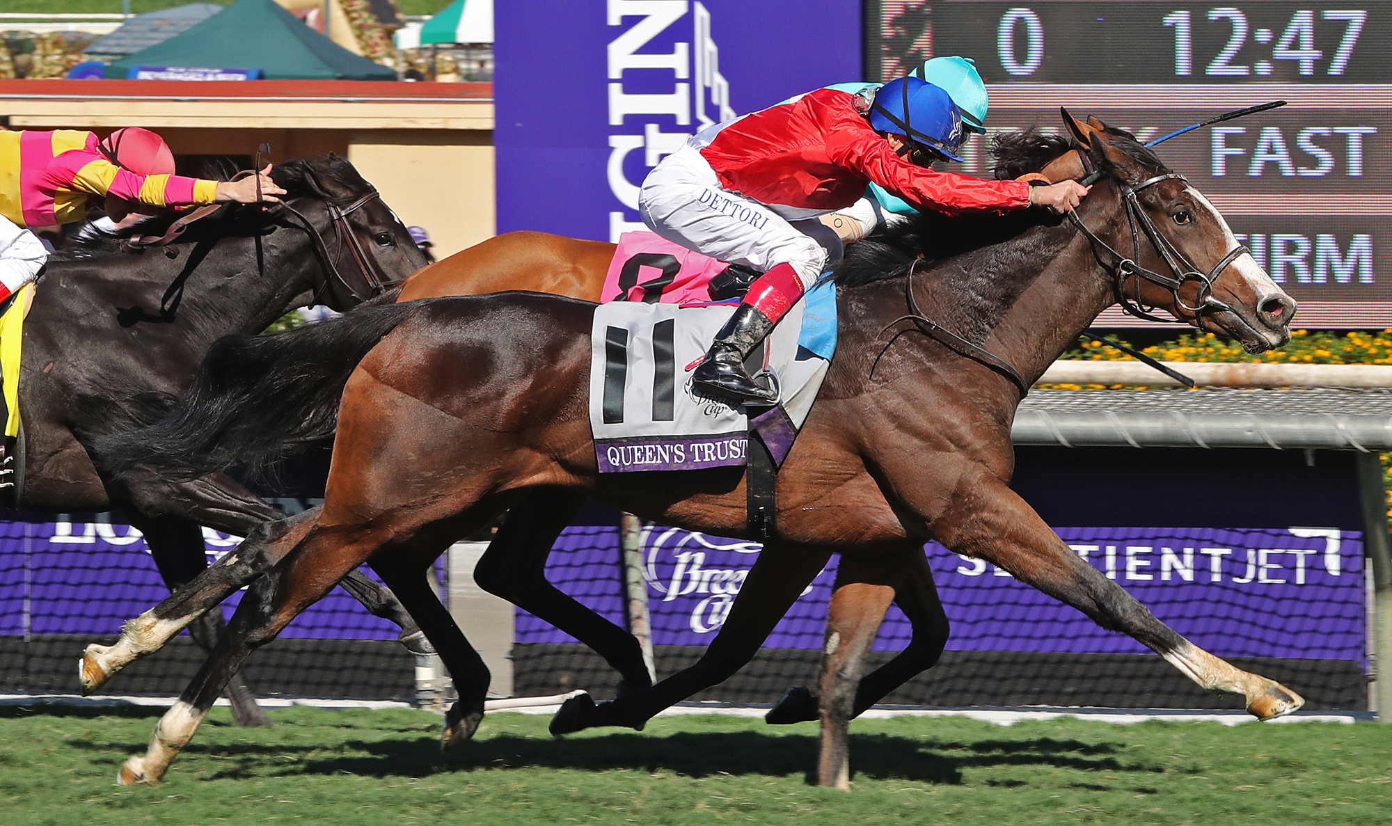 Queens Trust wins the 2016 Breeders Cup Filly and Mare Turf