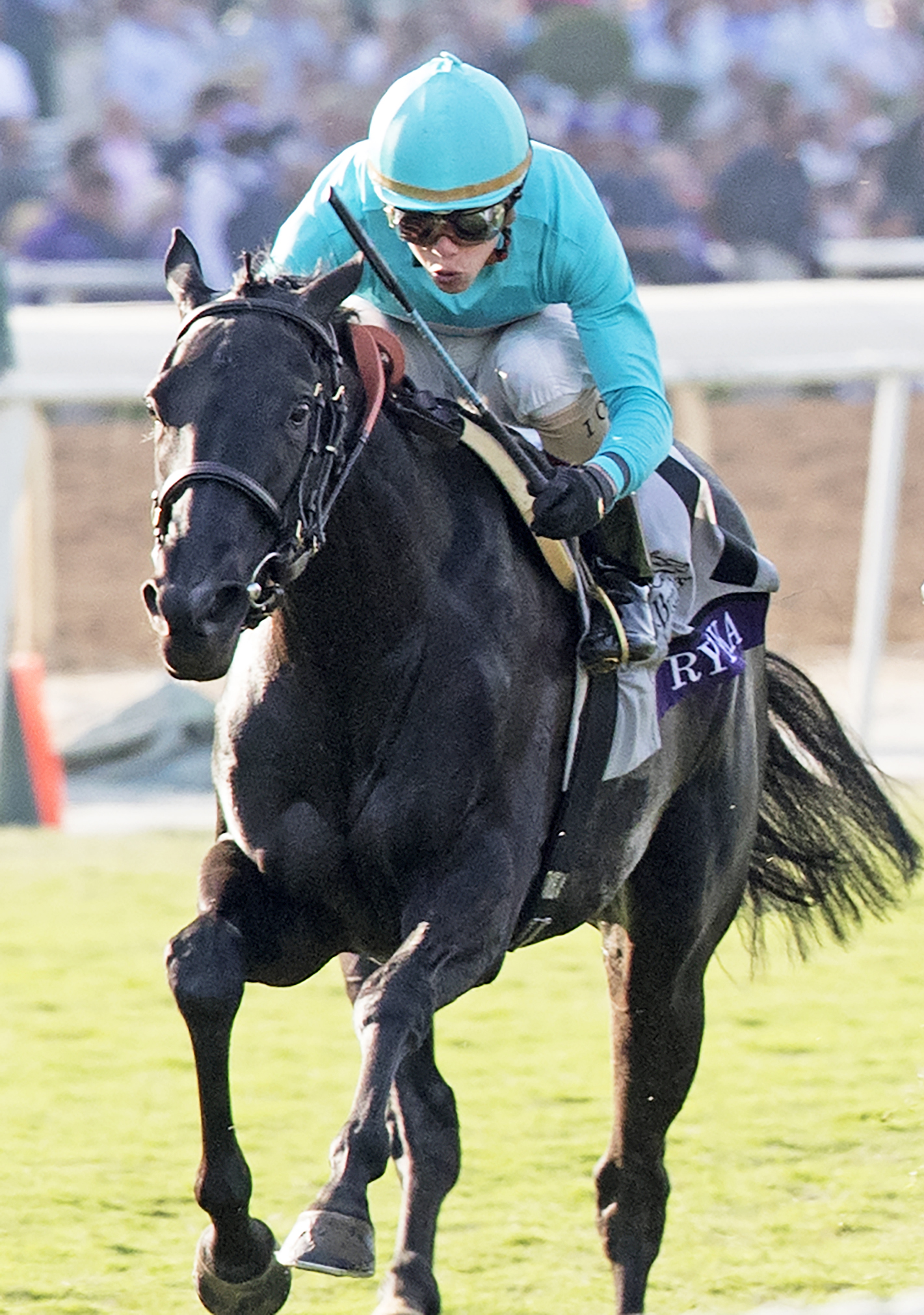 Rymska finishes fifth in the Breeders' Cup Juvenile Fillies Turf