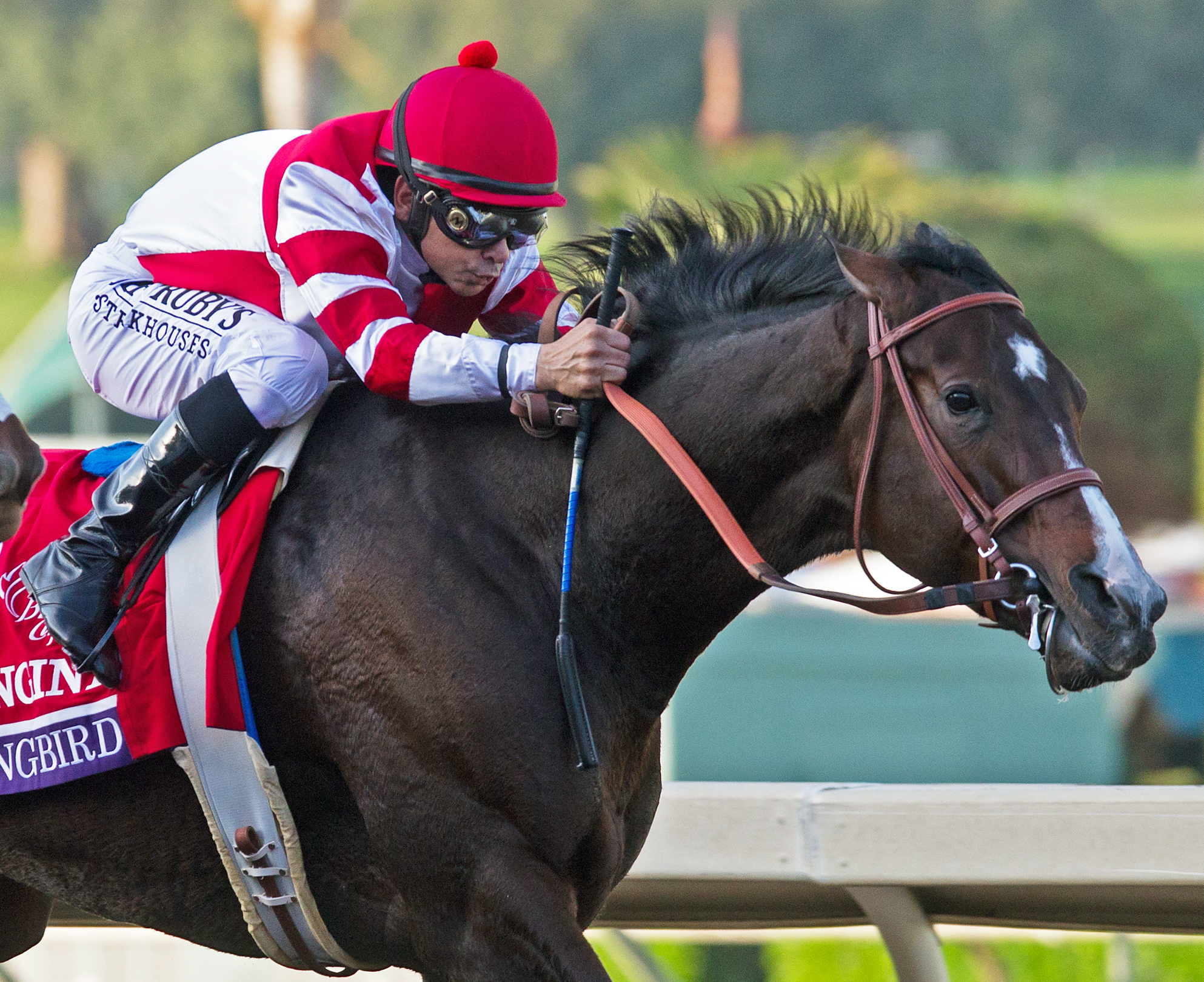 Songbird finishes second in the Breeders' Cup Distaff