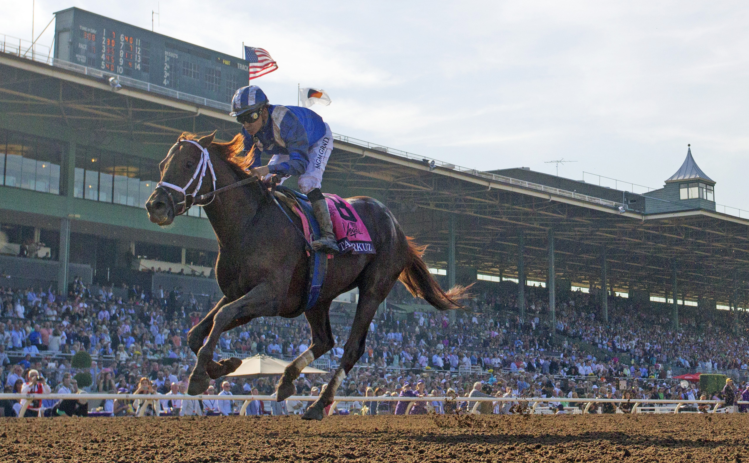 Tamarkuz wins the Breeders' Cup Dirt Mile