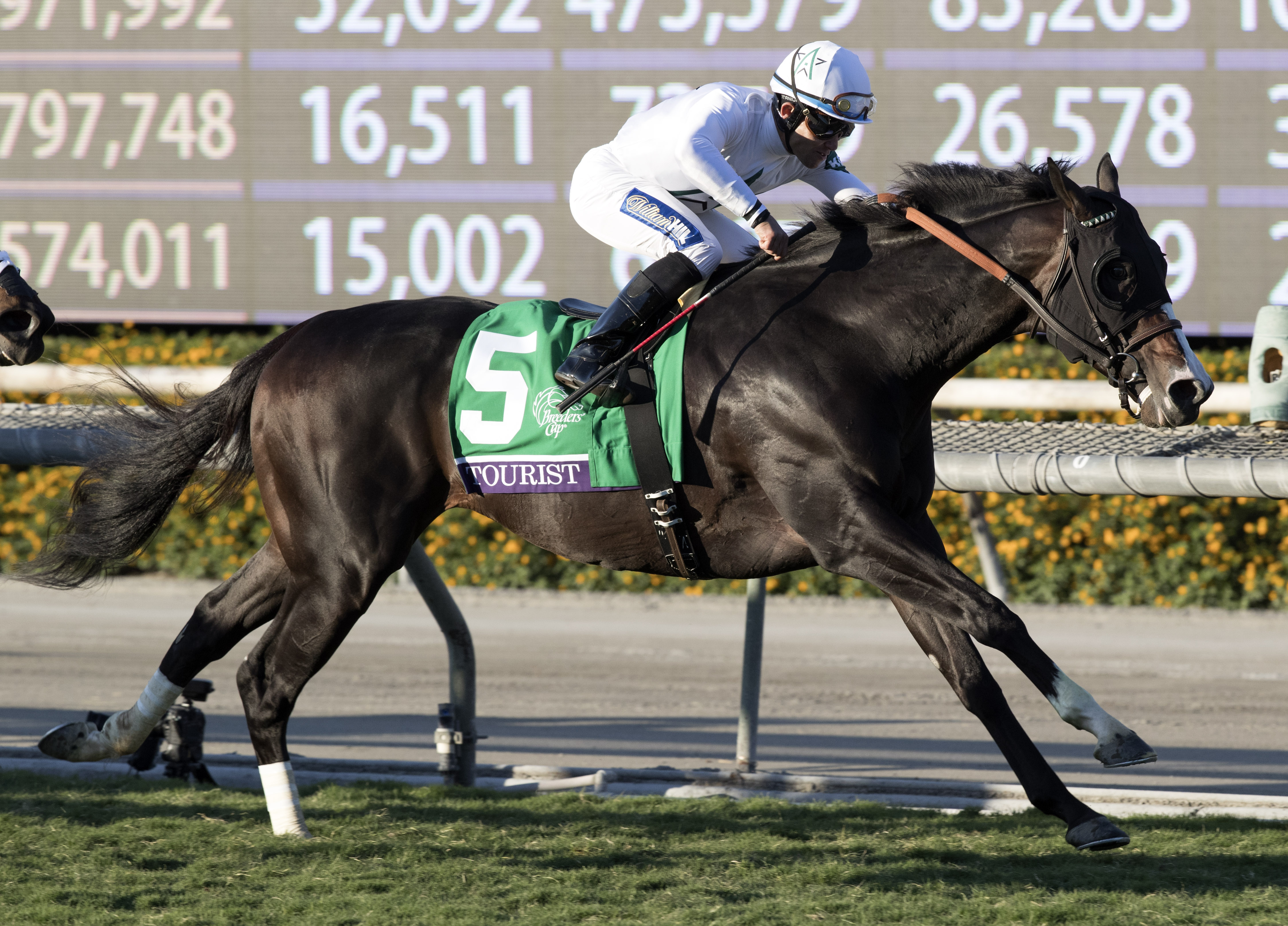 Tourist wins the Breeders' Cup Mile