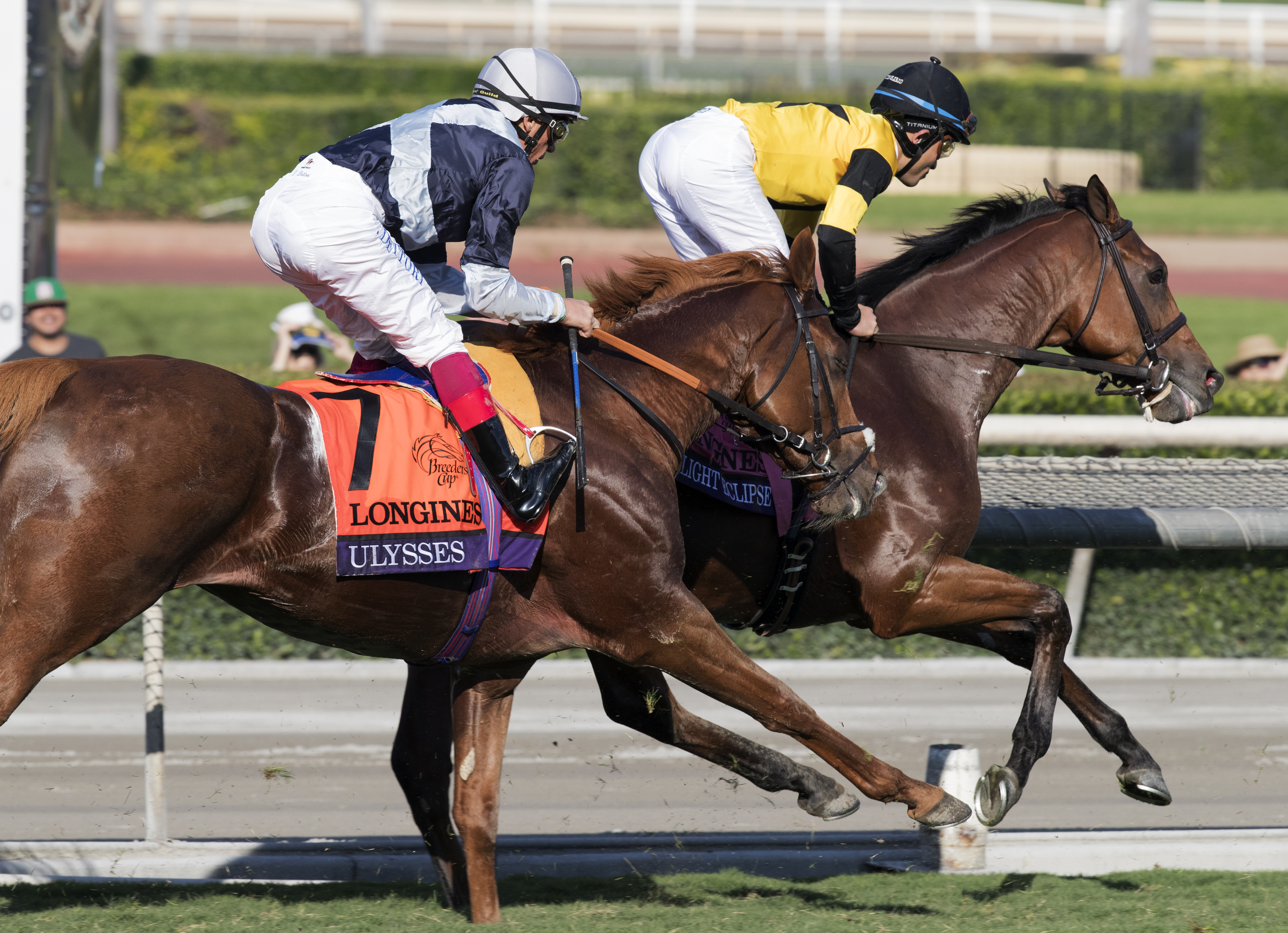 Ulysses finishes fourth in the 2016 Breeders Cup Turf