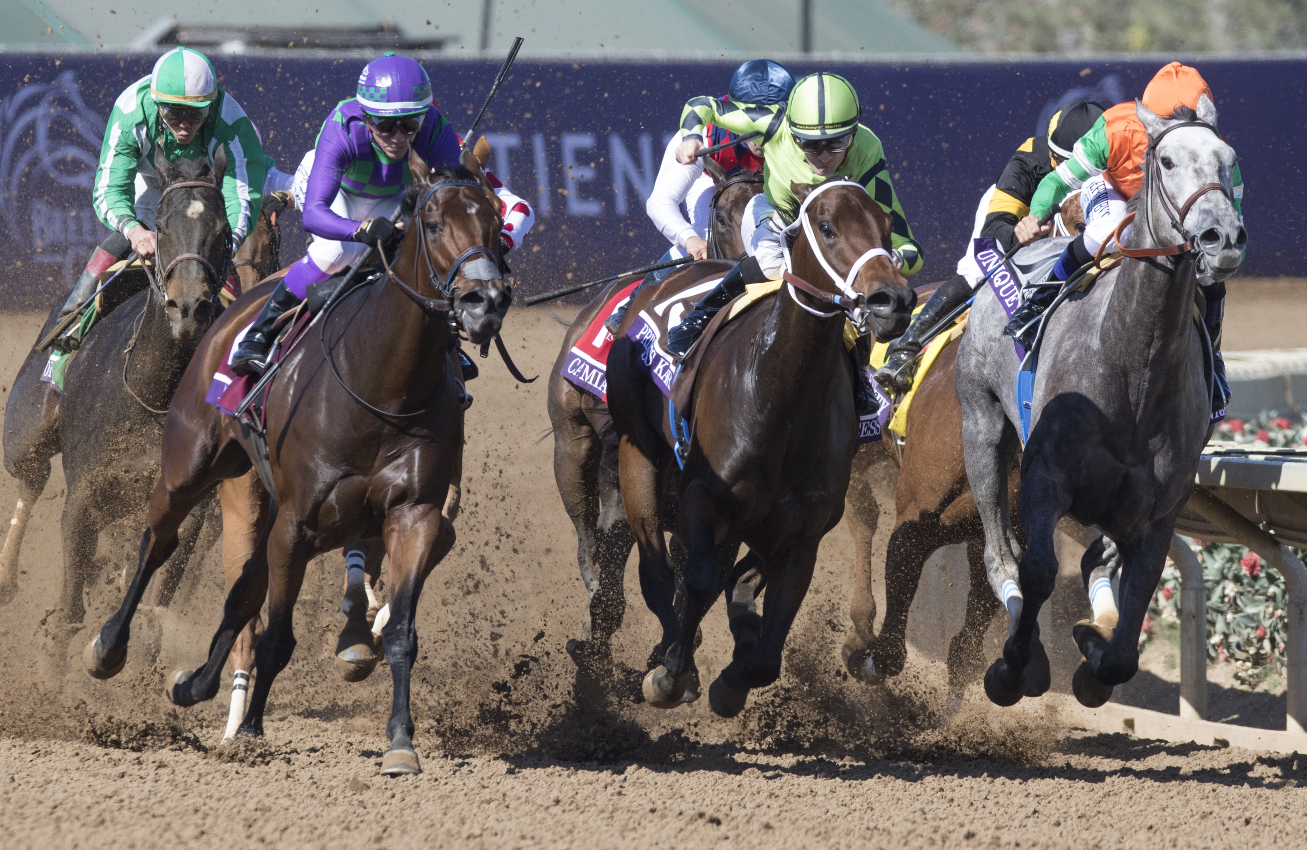 Princess Karen in the Breeders Cup Filly and Mare Sprint
