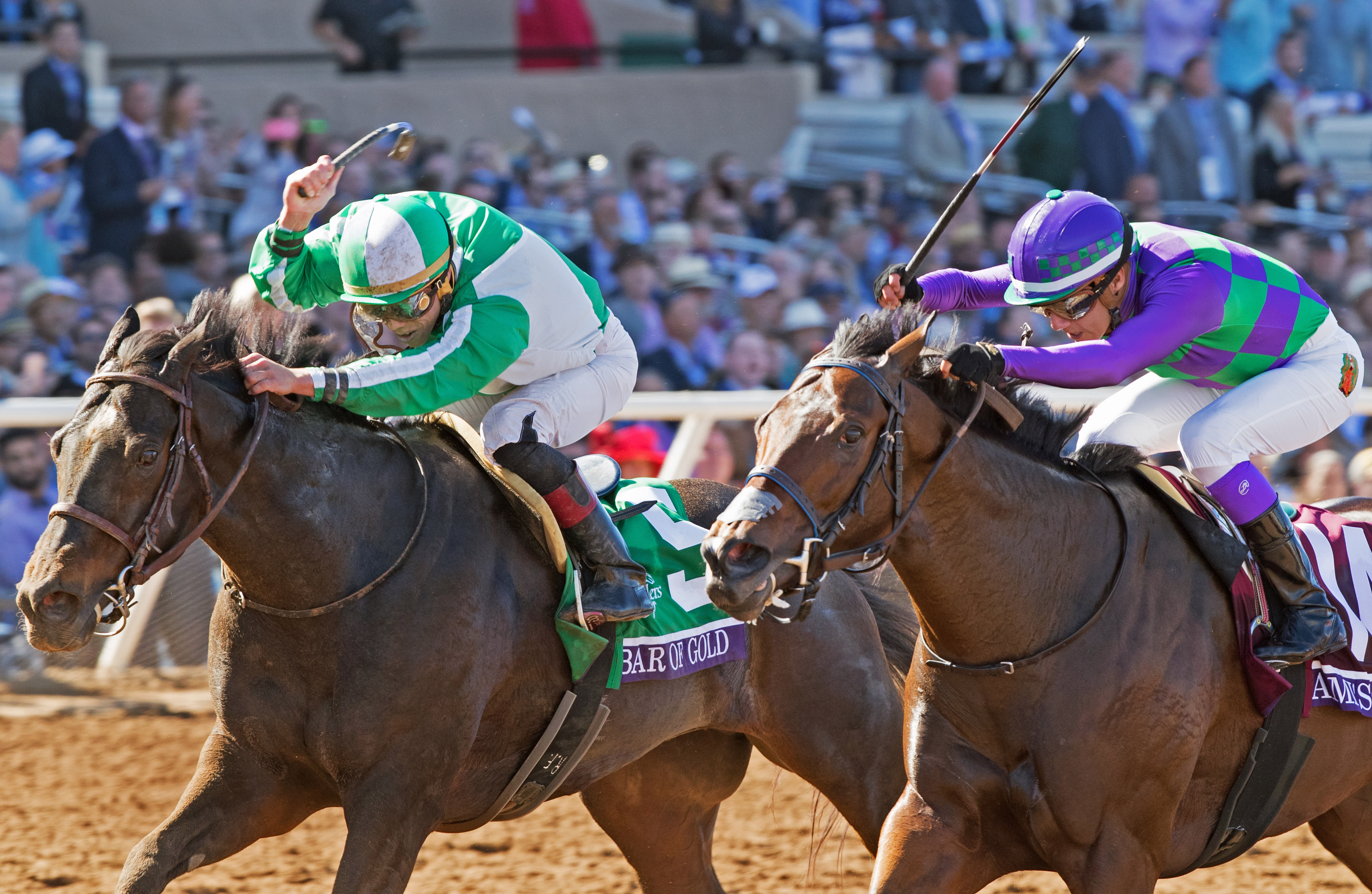Ami-s Mesa finishes second in the Breeders Cup Filly and Mare Sprint