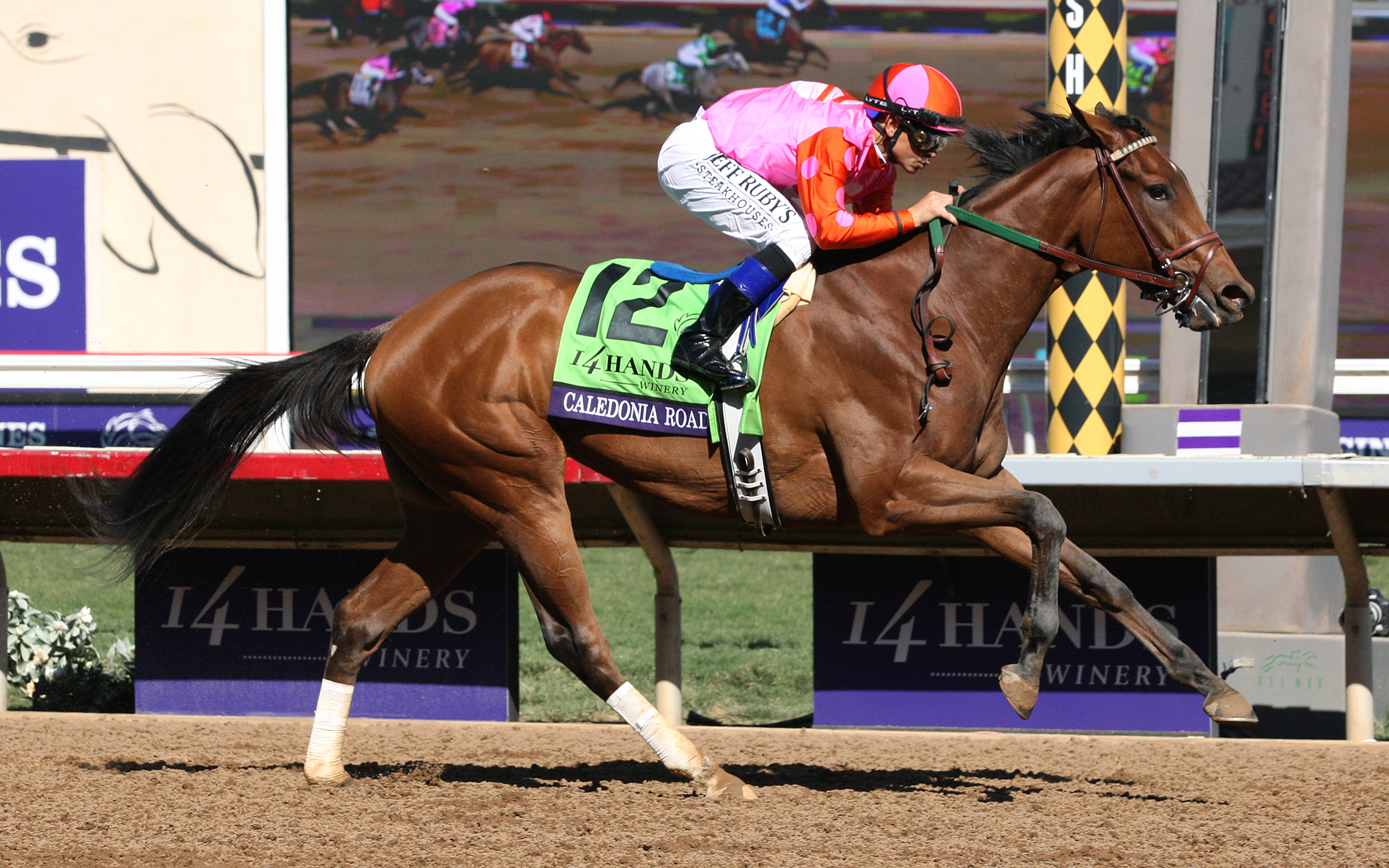 Caledonia Road wins the Breeders Cup Juvenile Fillies