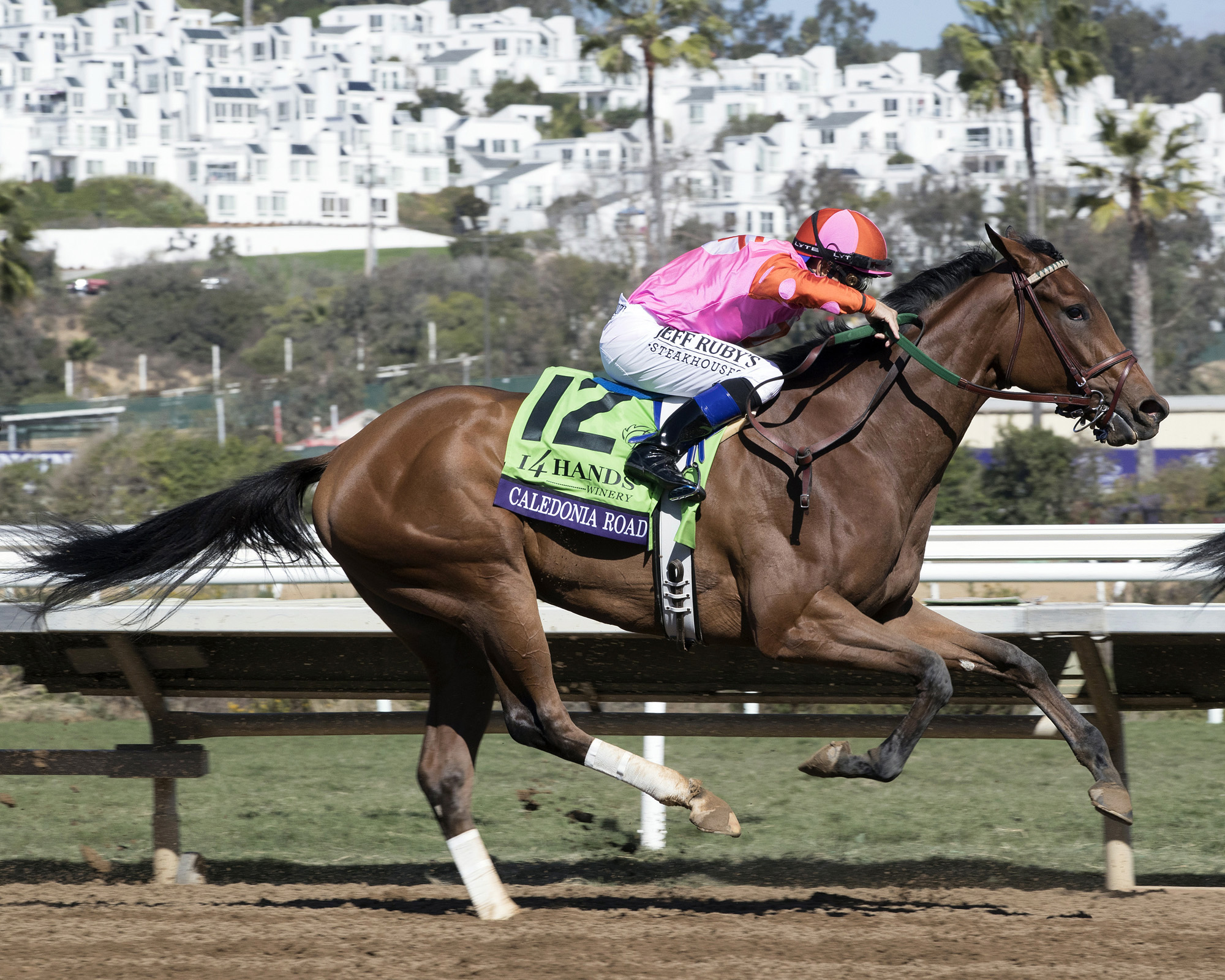 Caledonia Road wins the Breeders Cup Juvenile Fillies