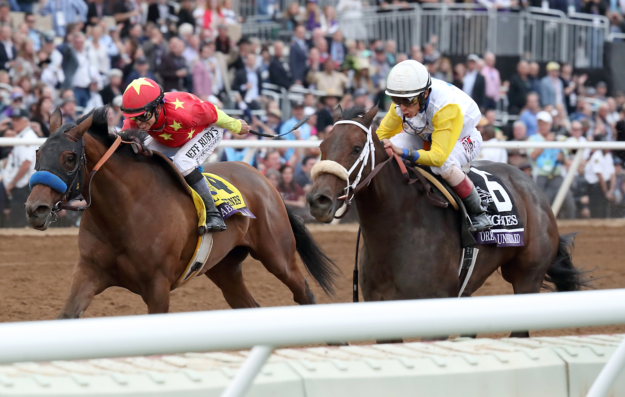 Abel Tasman finishes second in the Breeders Cup Distaff