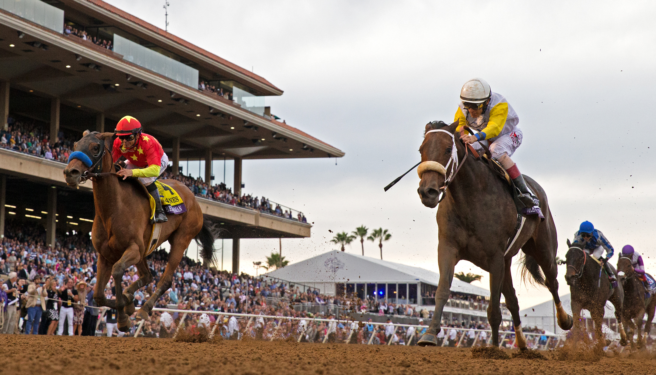 Forever Unbridled wins the 2017 Breeders Cup Distaff