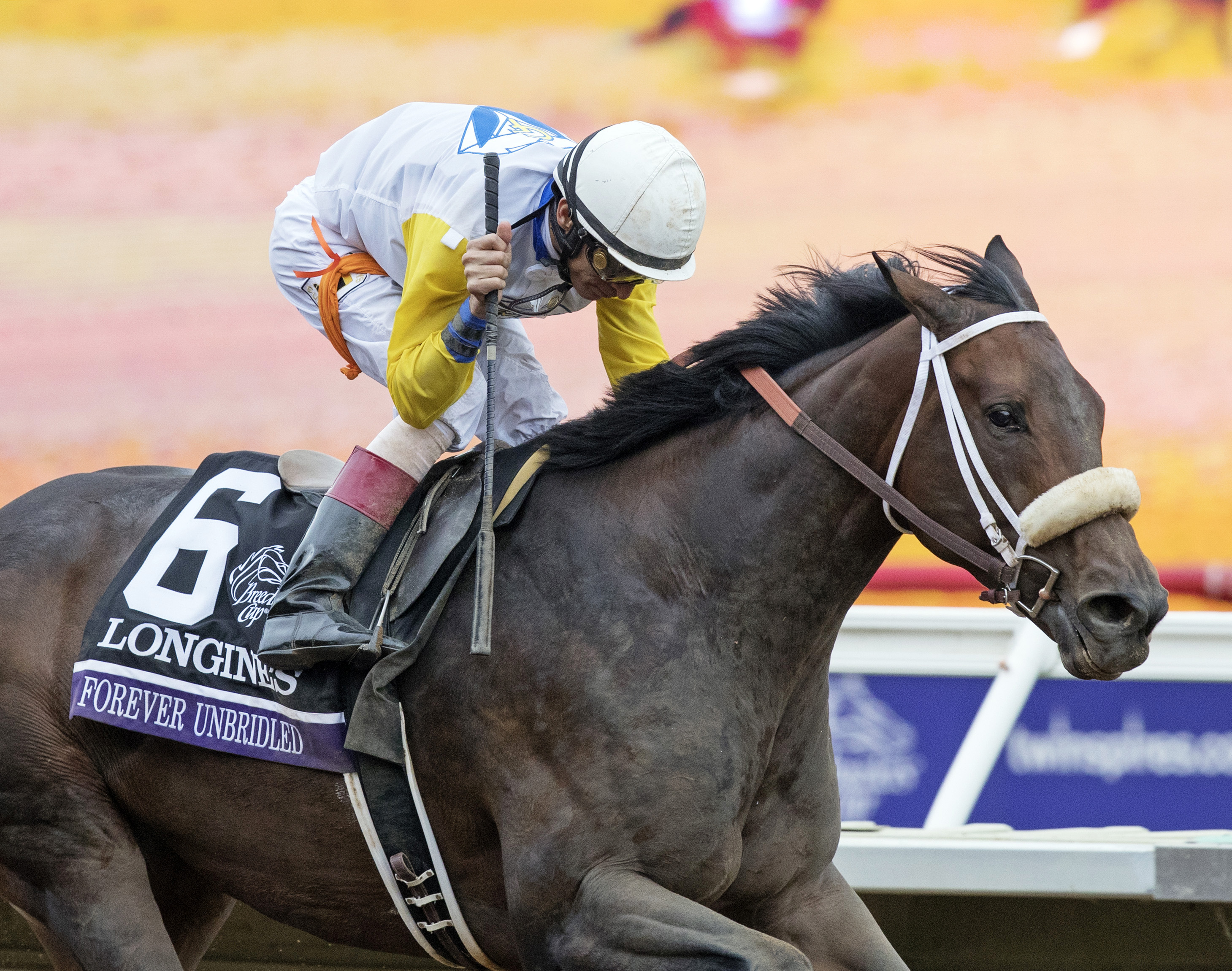 Forever Unbridled wins the 2017 Breeders Cup Distaff
