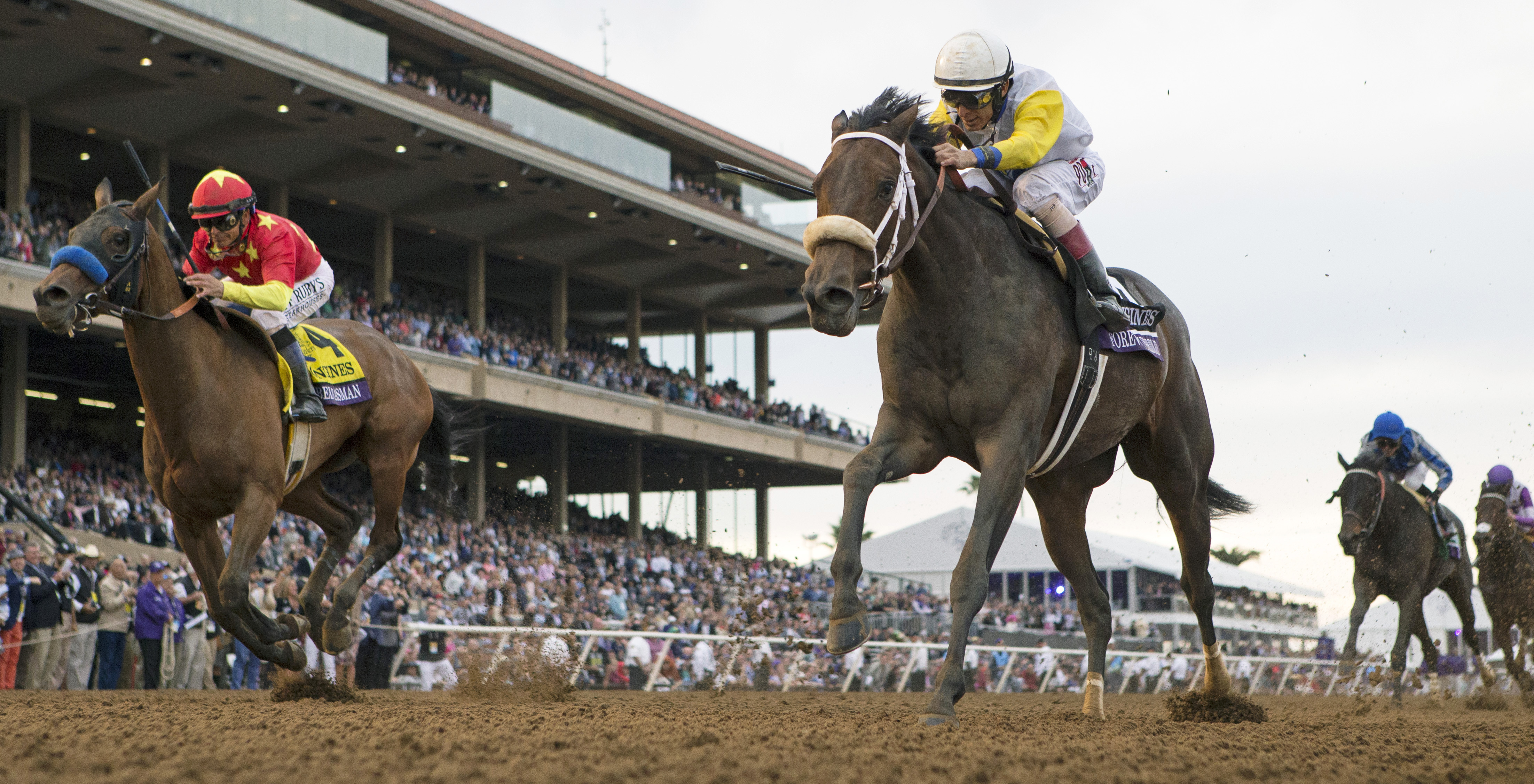 Eclipse 2017 Forever Unbridled