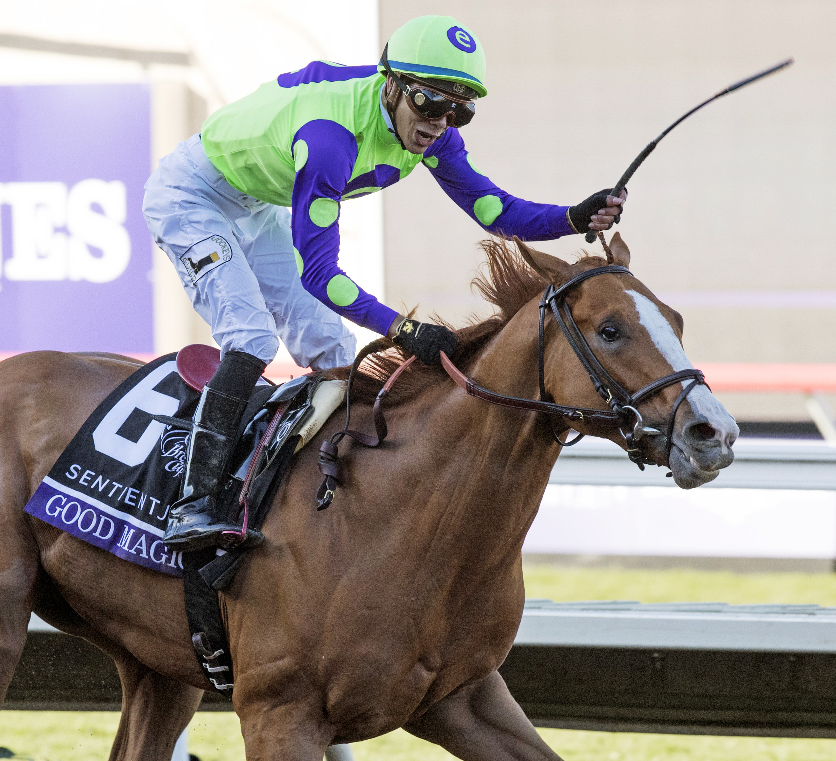 Good Magic wins the Breeders Cup Juvenile