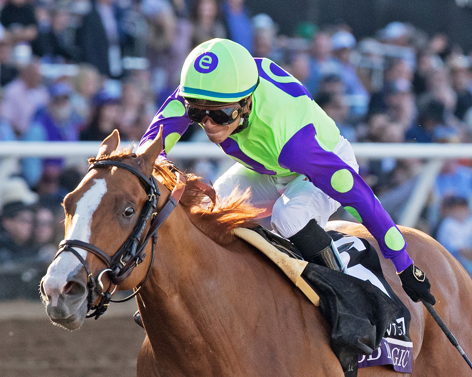 Good Magic wins the 2017 Breeders Cup Juvenile