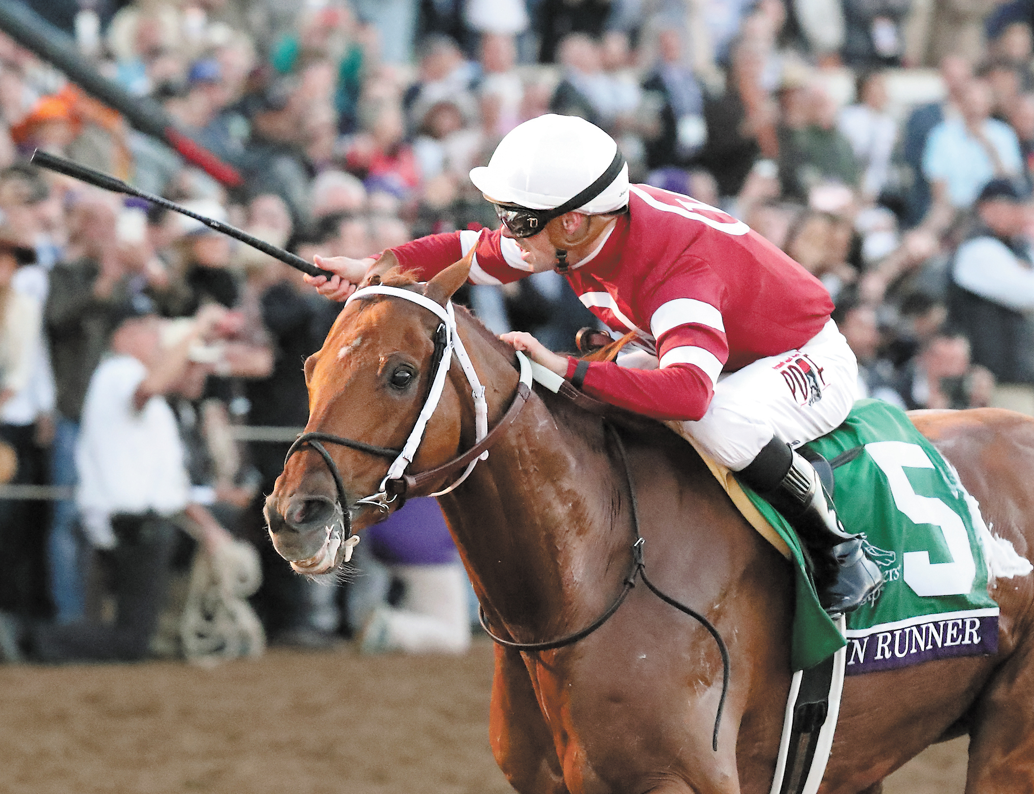 Gun Runner wins the Breeders Cup Classic