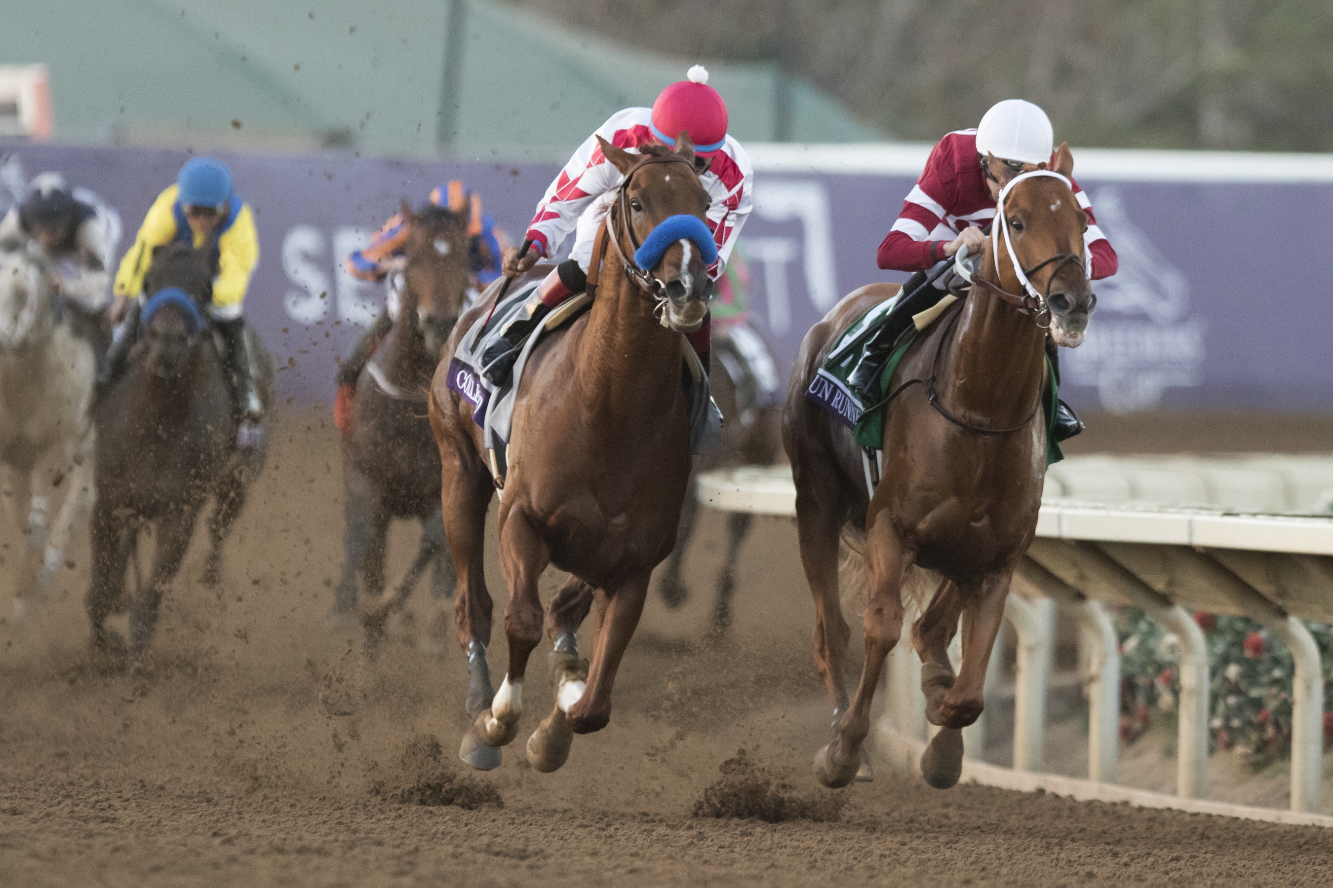 Gun Runner - inside - and Collected 2017 BC Classic