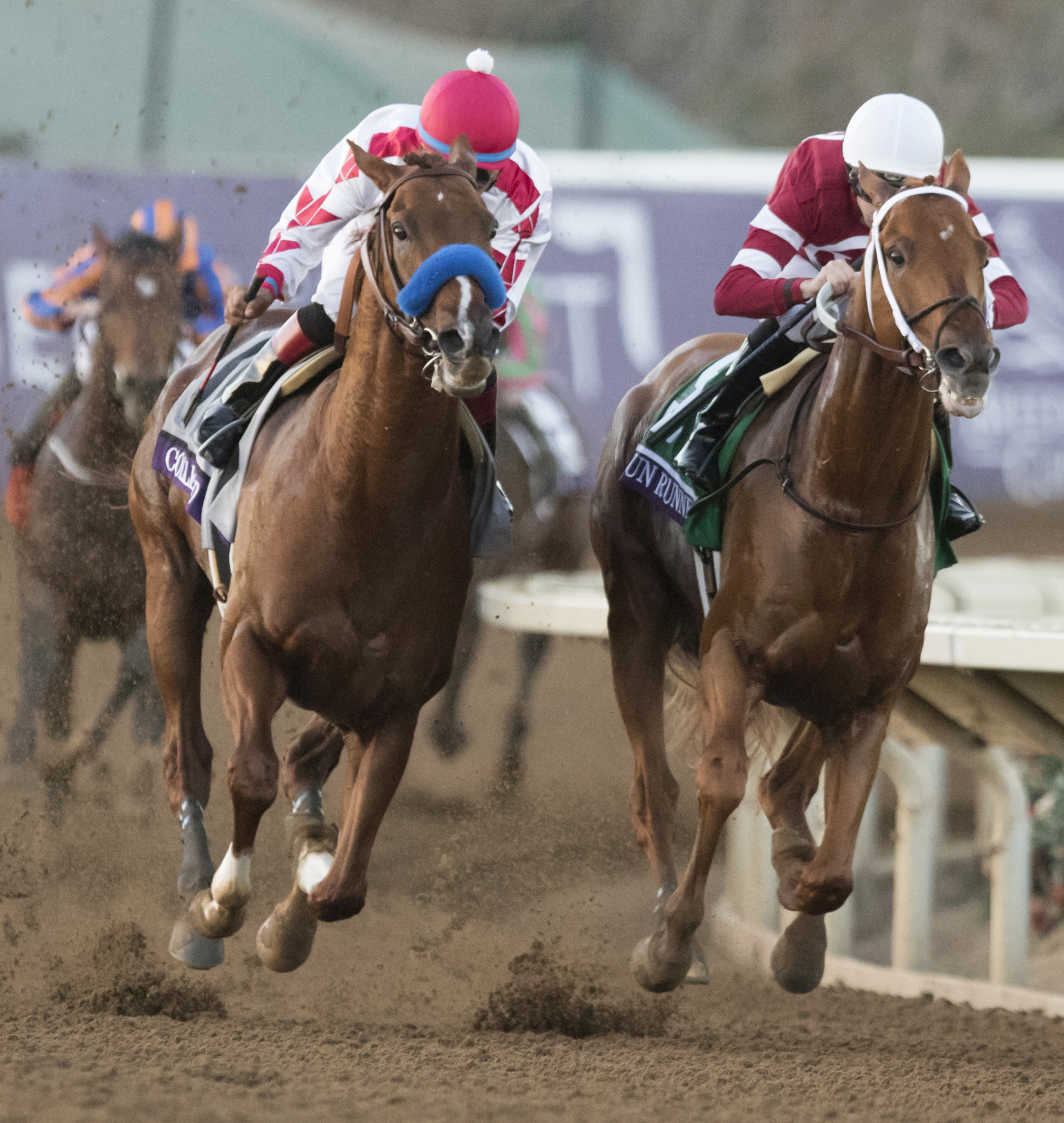 Collected finishes second to Gun Runner in the 2017 Breeders Cup Classic