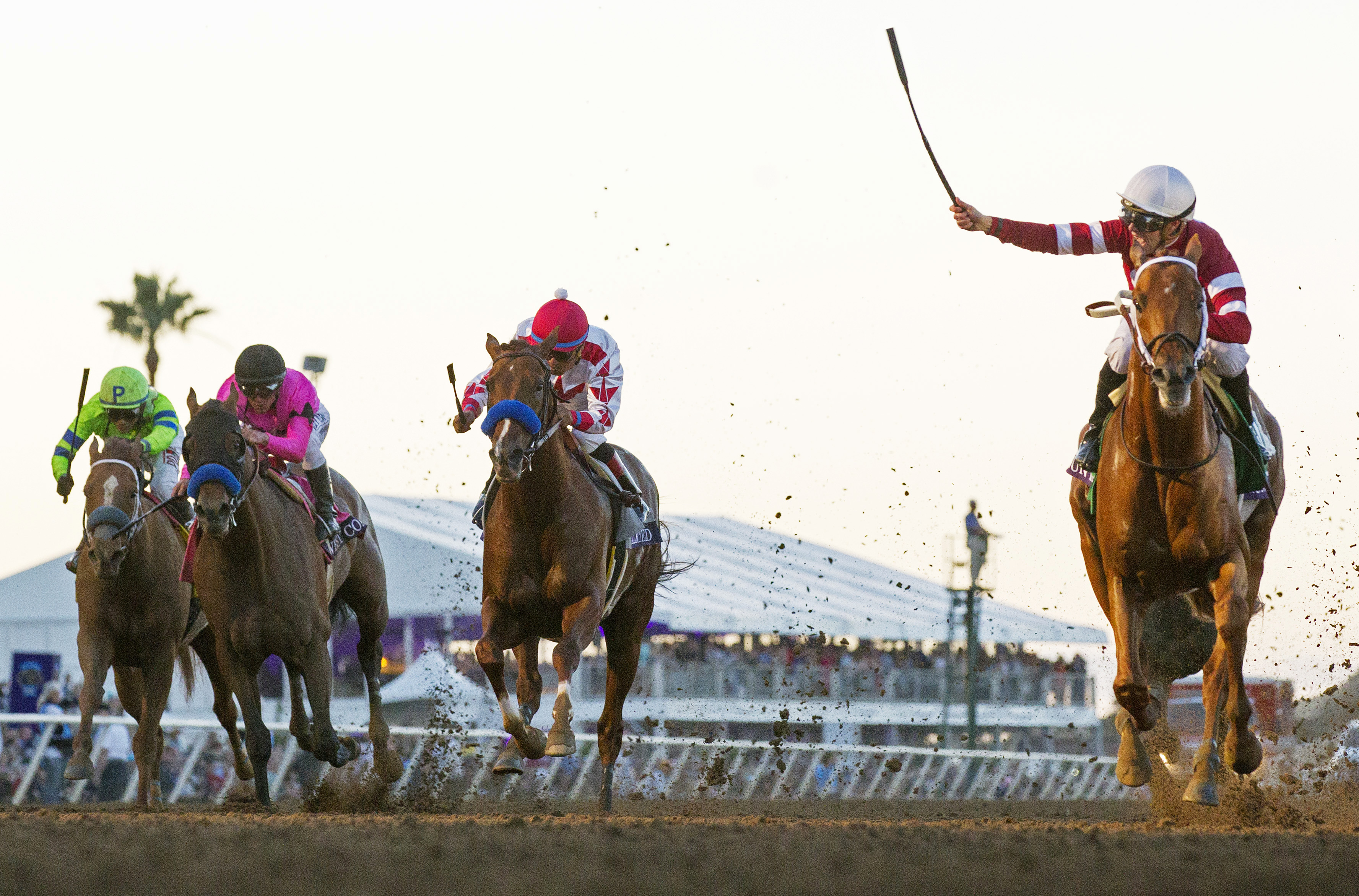 Gun Runner wins the Breeders Cup Classic