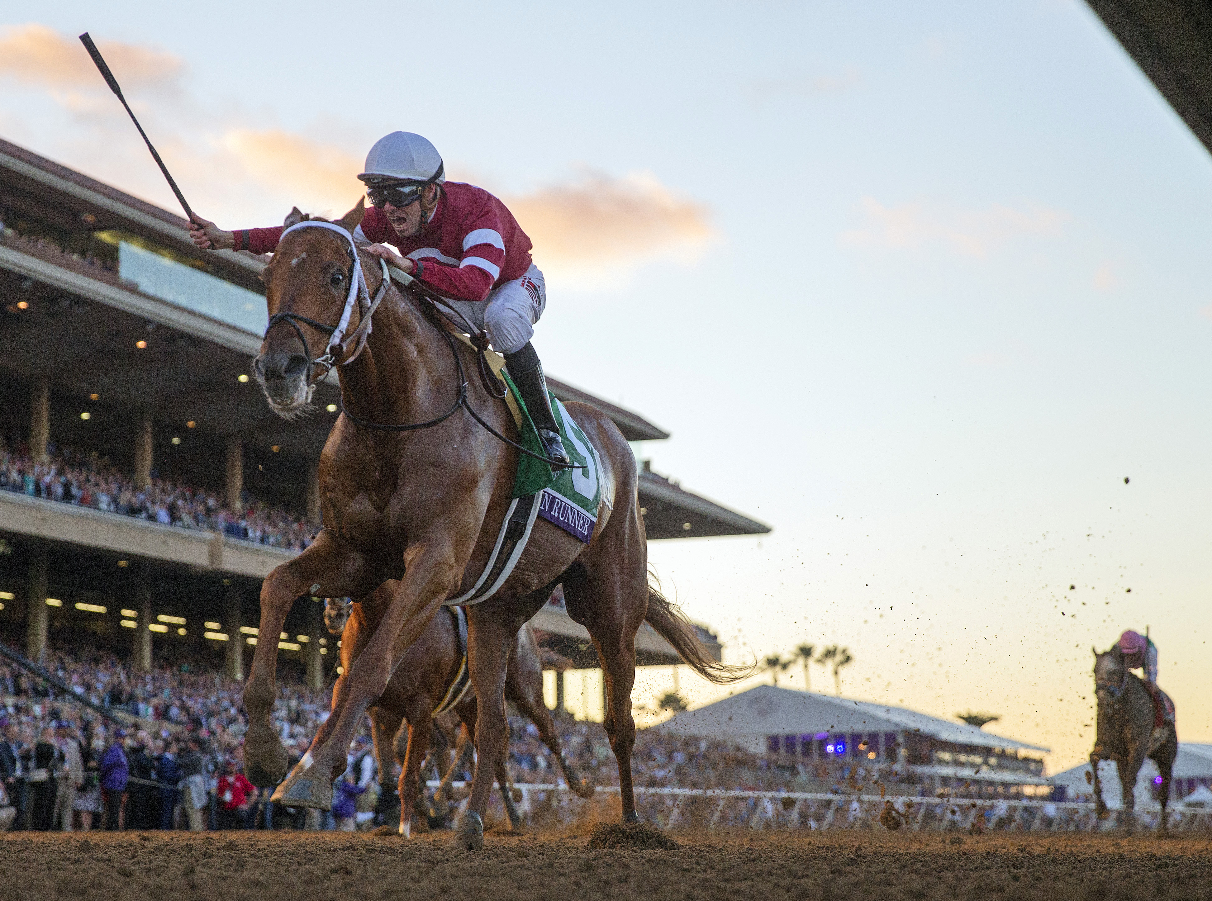 Gun Runner wins the Breeders Cup Classic