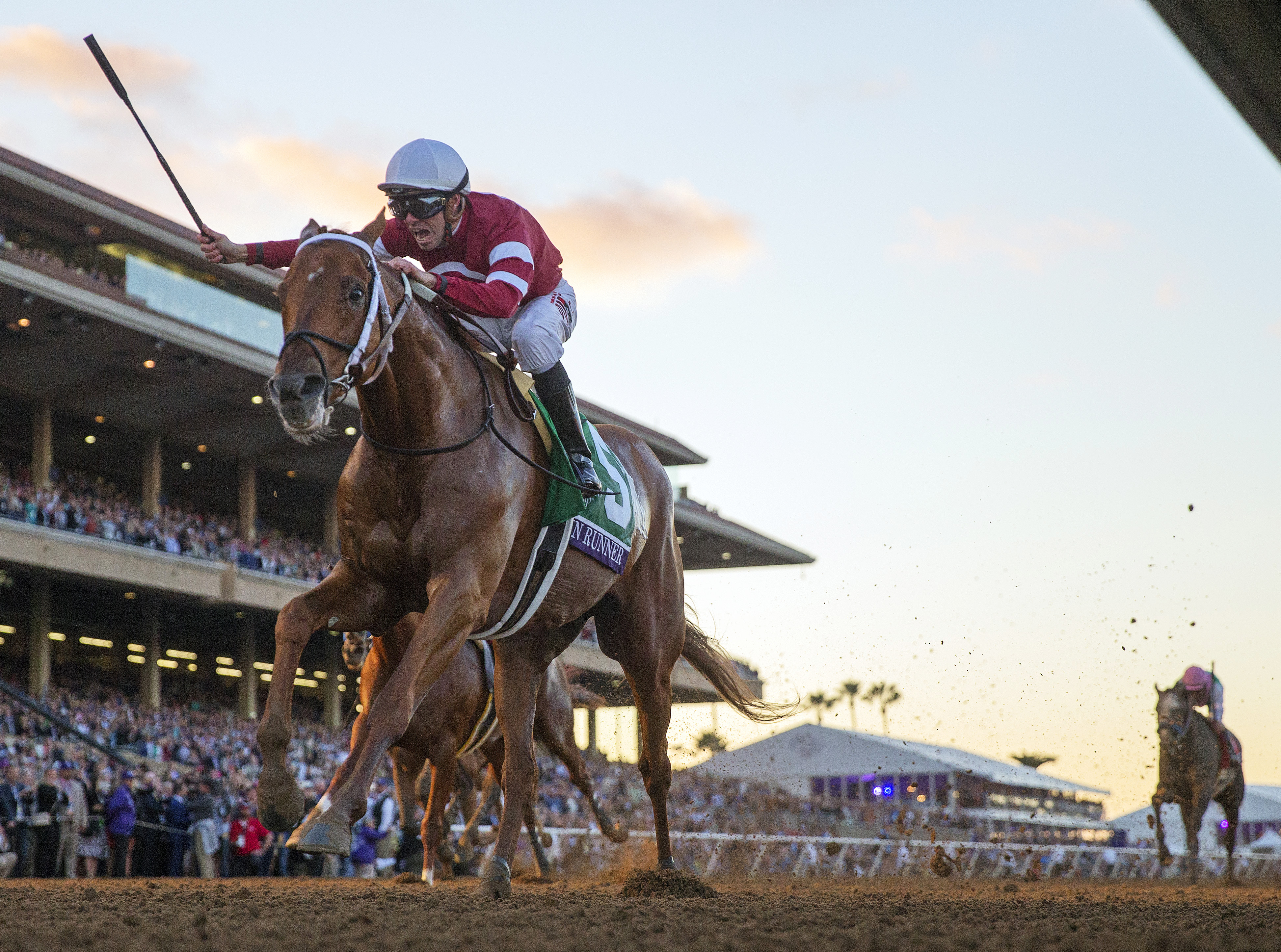 Eclipse 2017 Gun Runner