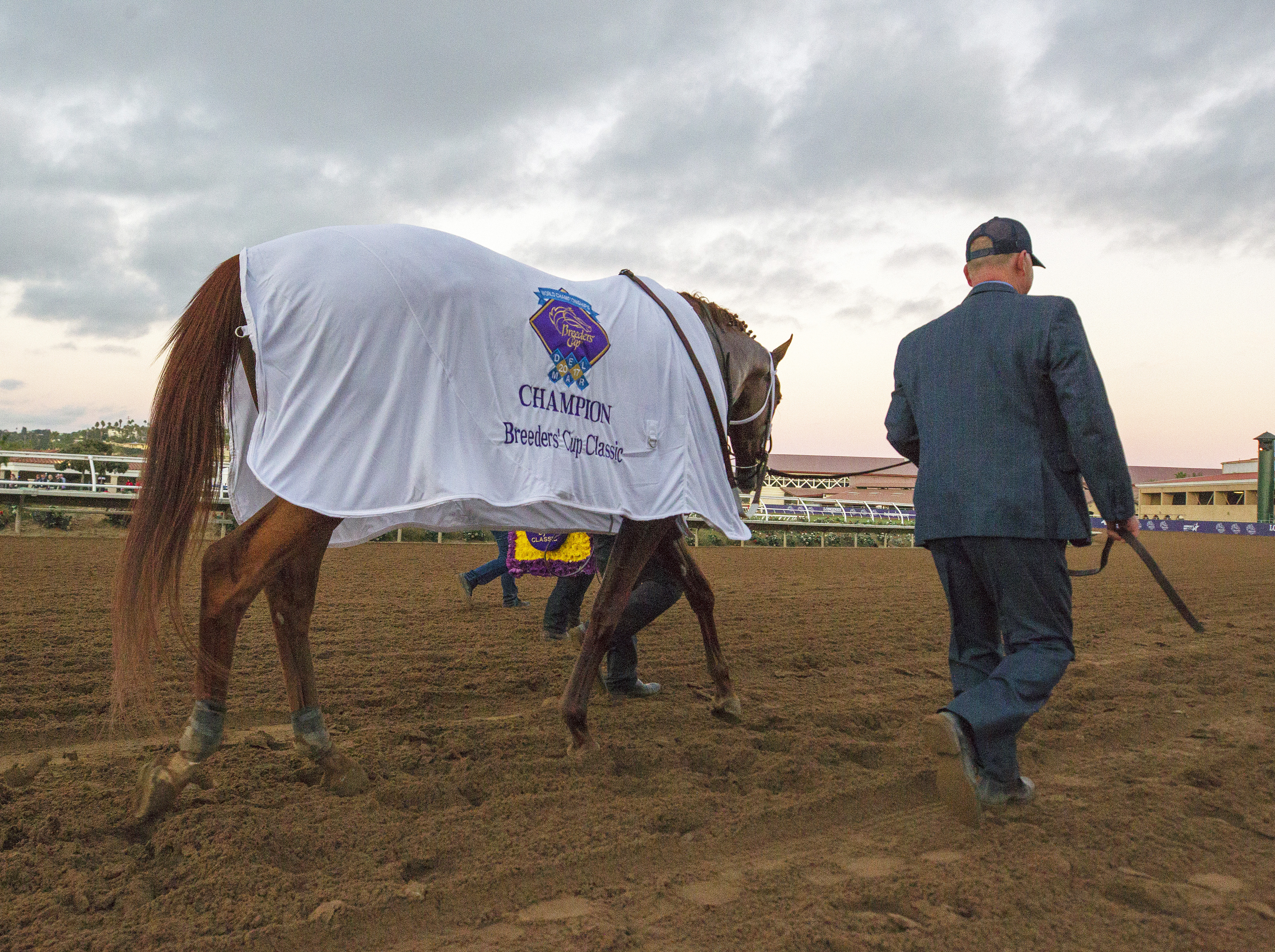 Gun Runner after the Breeders Cup Classic