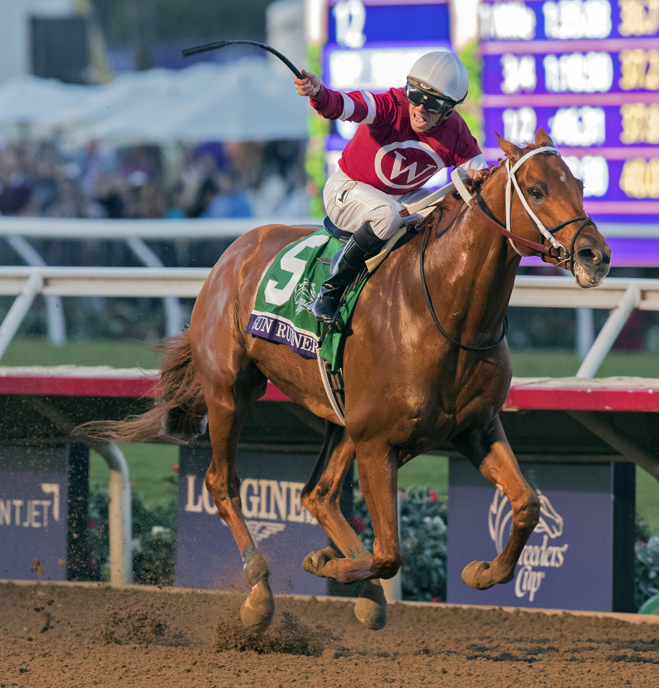 Gun Runner overwhelming winner as Horse of the Year