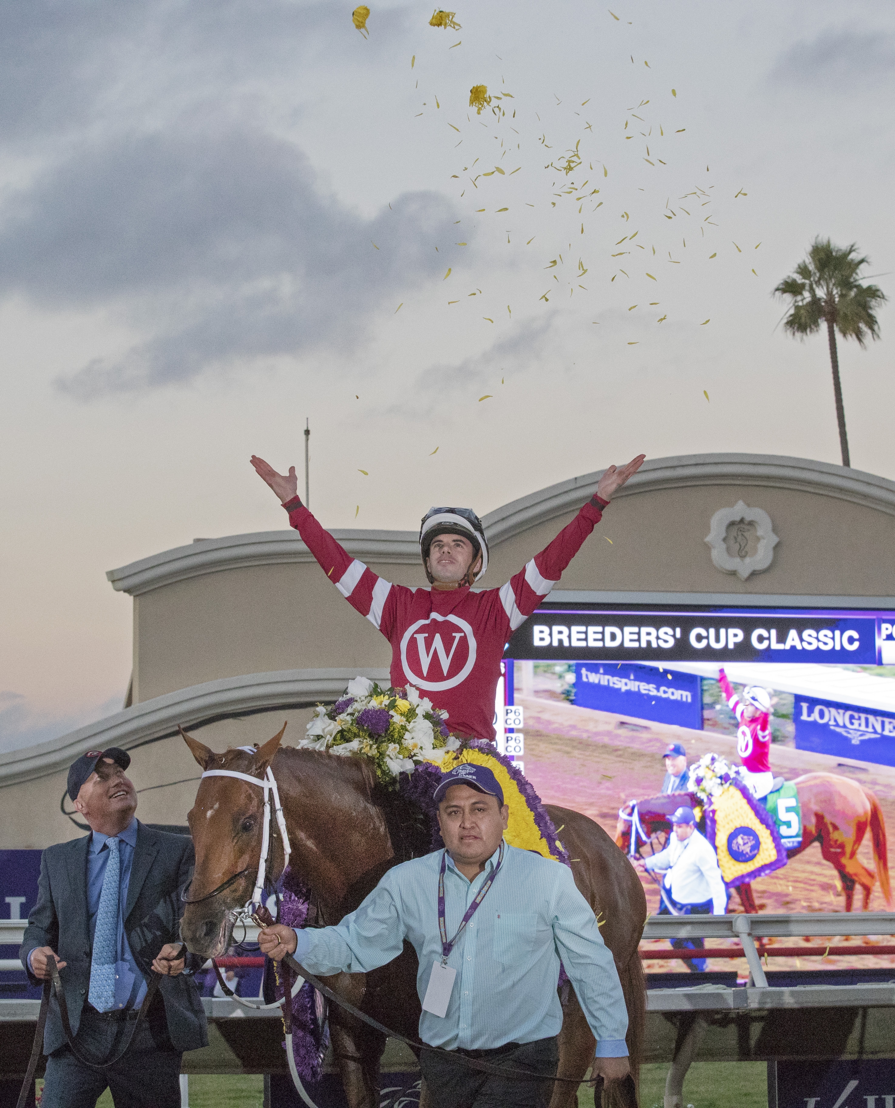 Gun Runner after the 2017 BC Classic