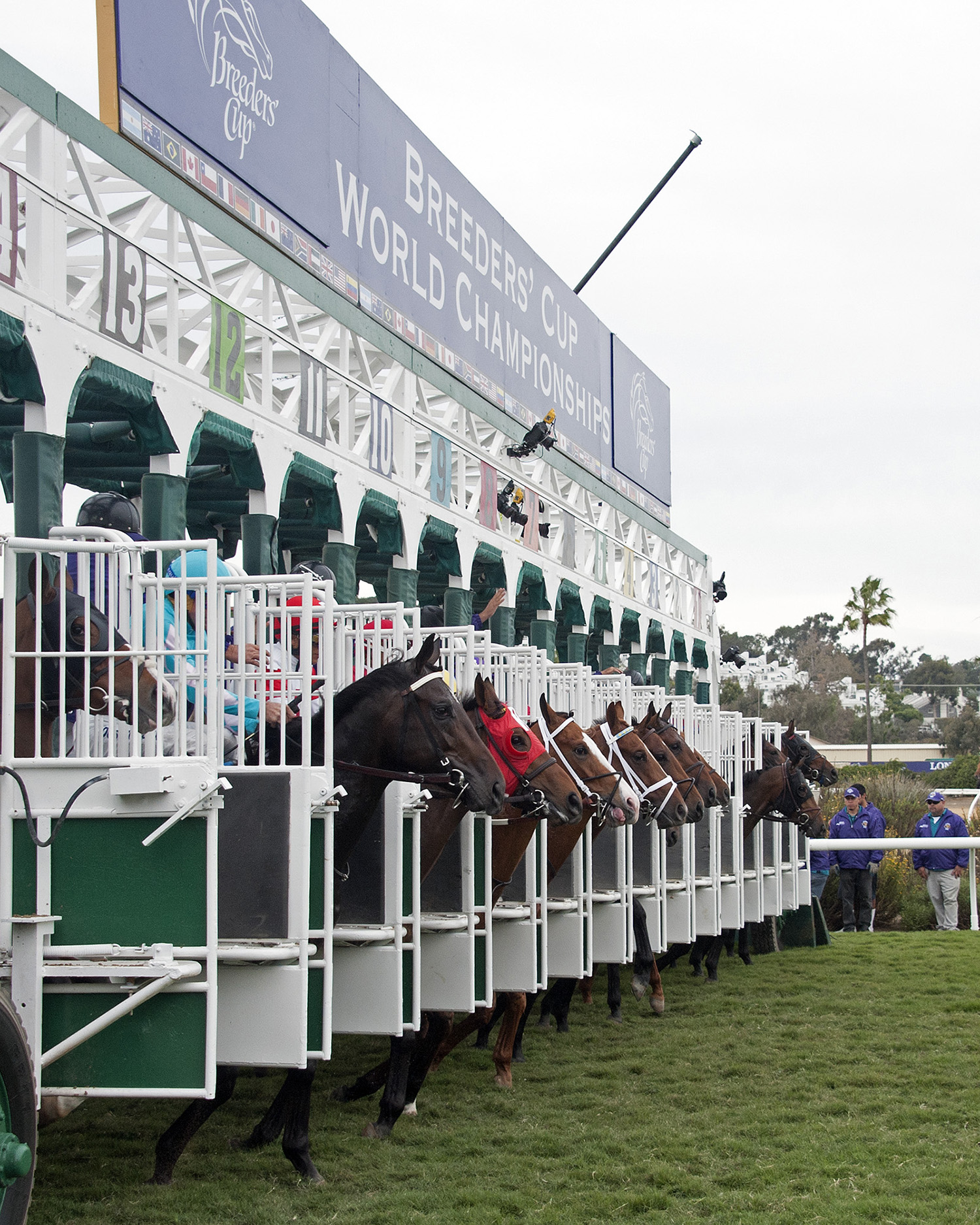 Breeders Cup starting gate