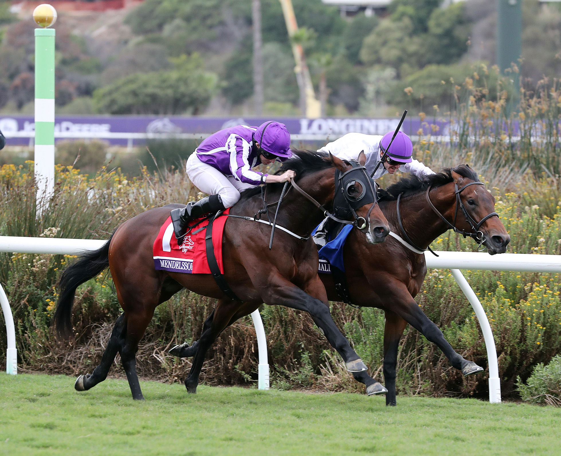 Mendelssohn wins the 2017 Breeders Cup Juvenile Turf