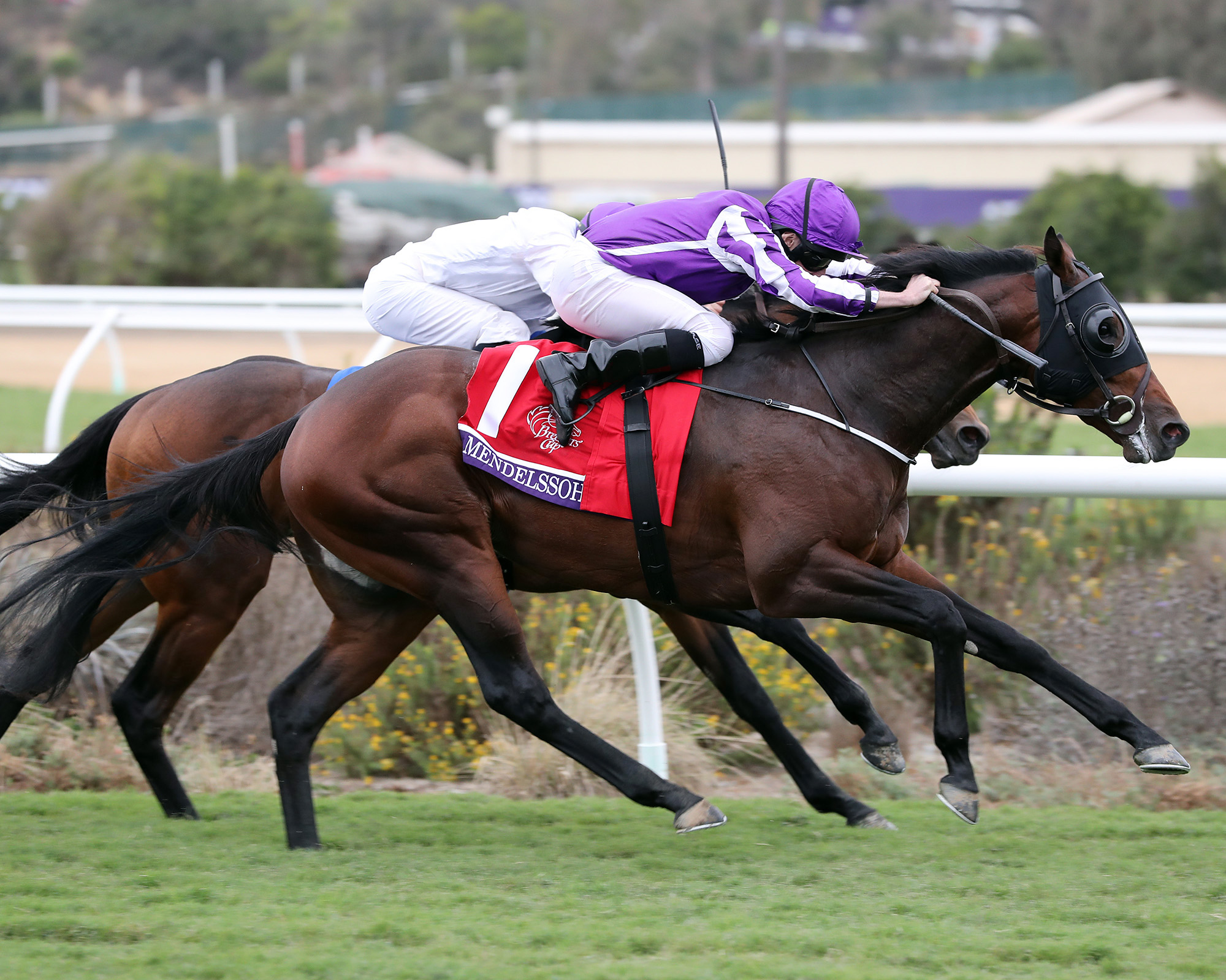 Mendelssohn wins the 2017 Breeders Cup Juvenile Turf