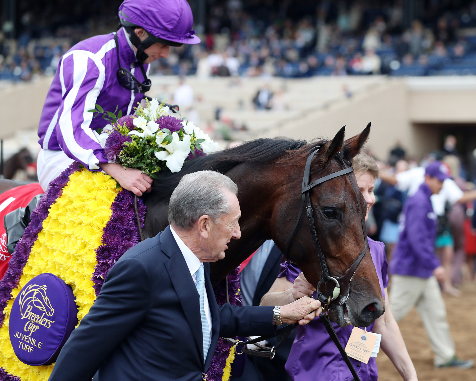 Mendelssohn after winning the Breeders' Cup Juvenile Turf